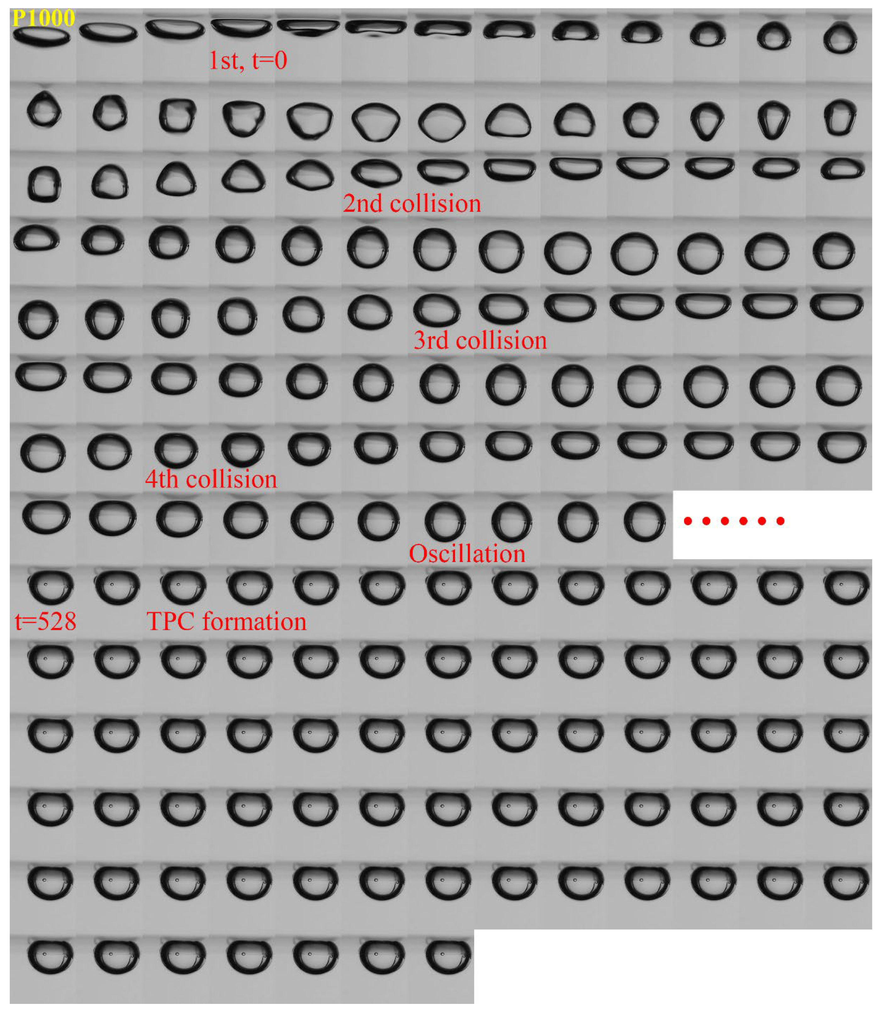 Minerals 14 00963 g014