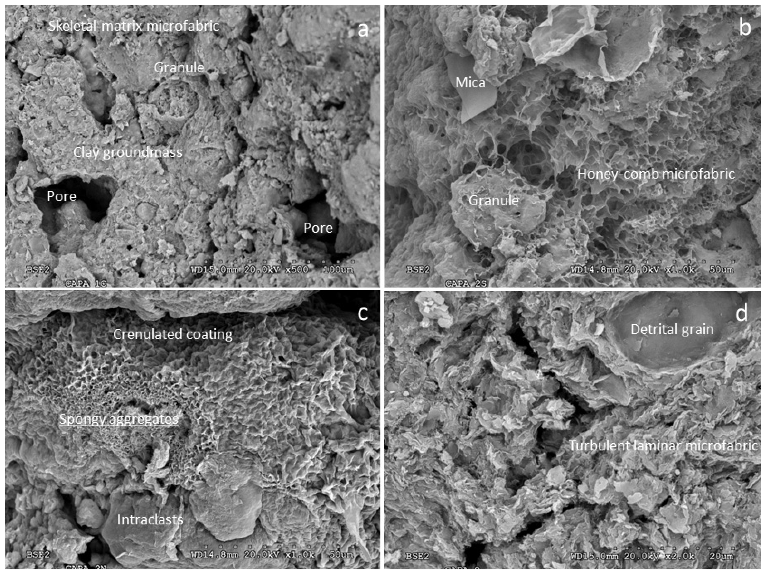Minerals 14 00966 g004