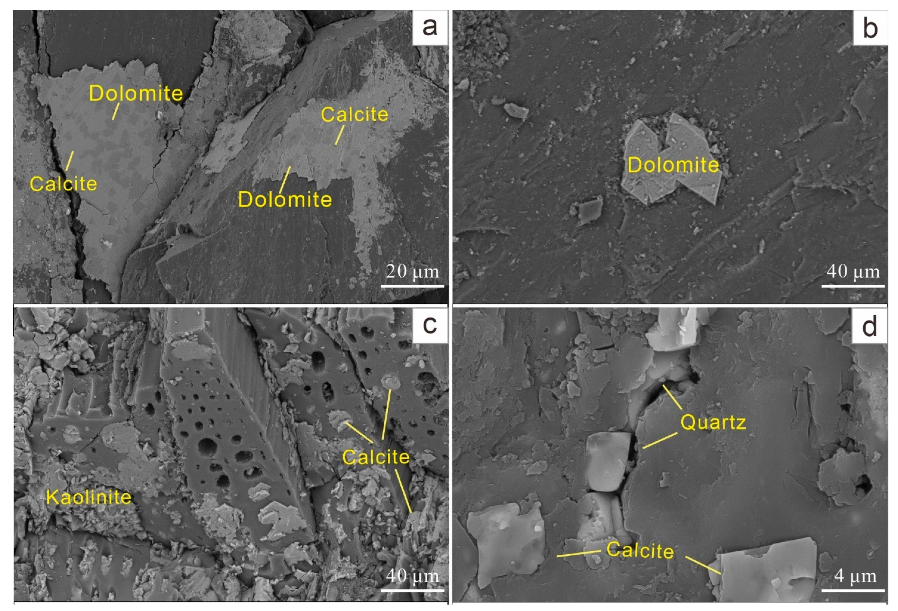 Minerals 14 01045 g009