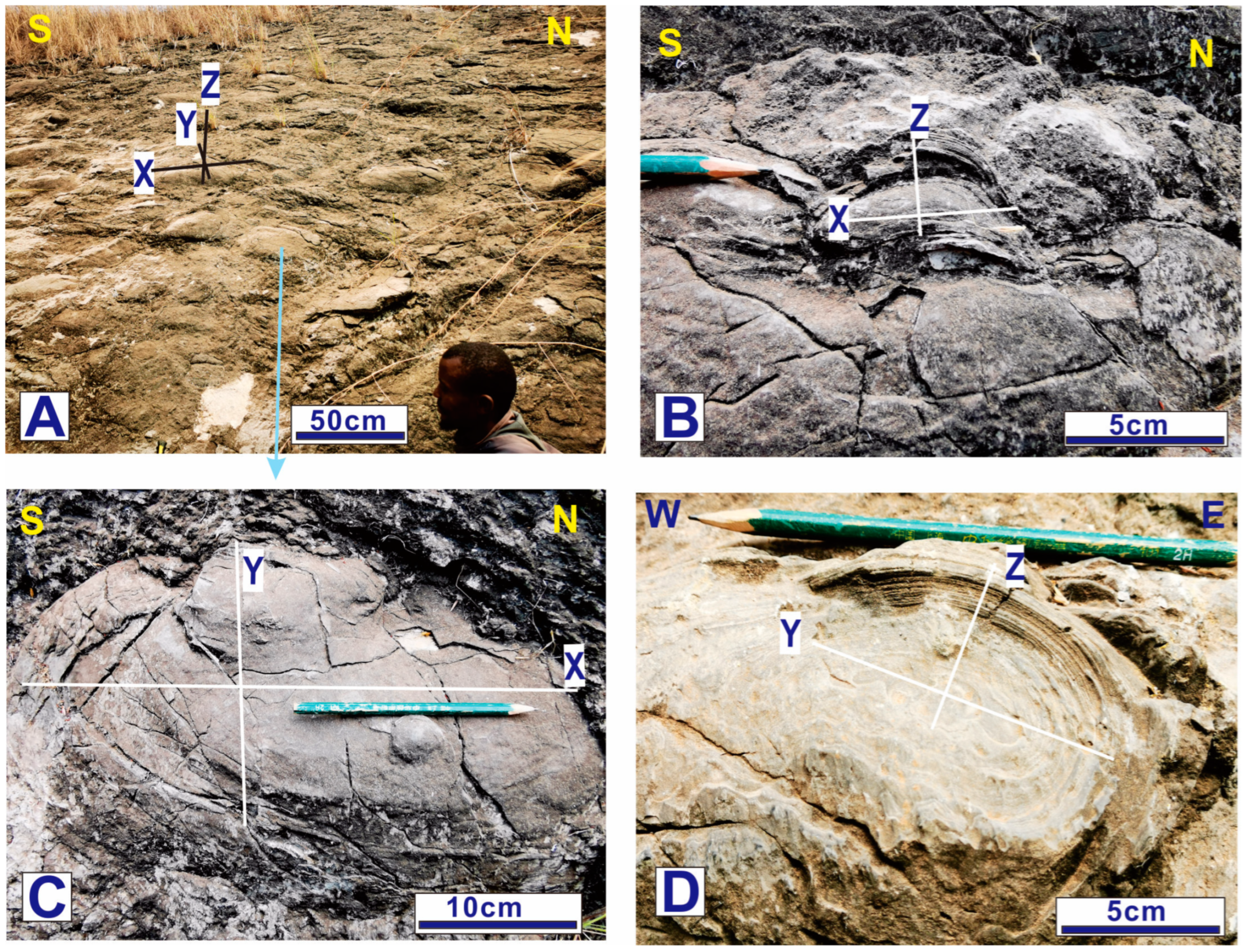 Minerals 14 01061 g006