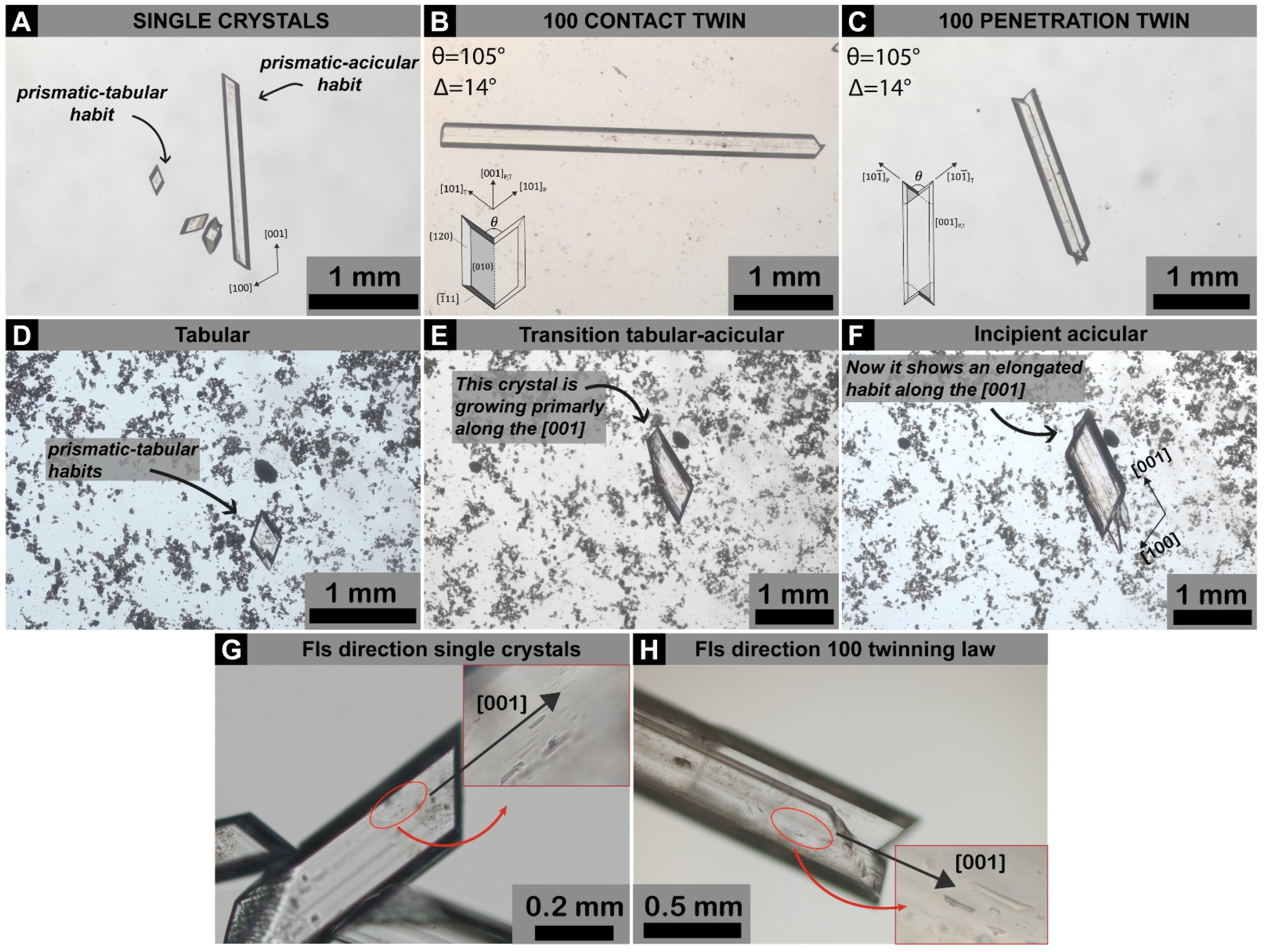 Minerals 14 01074 g002