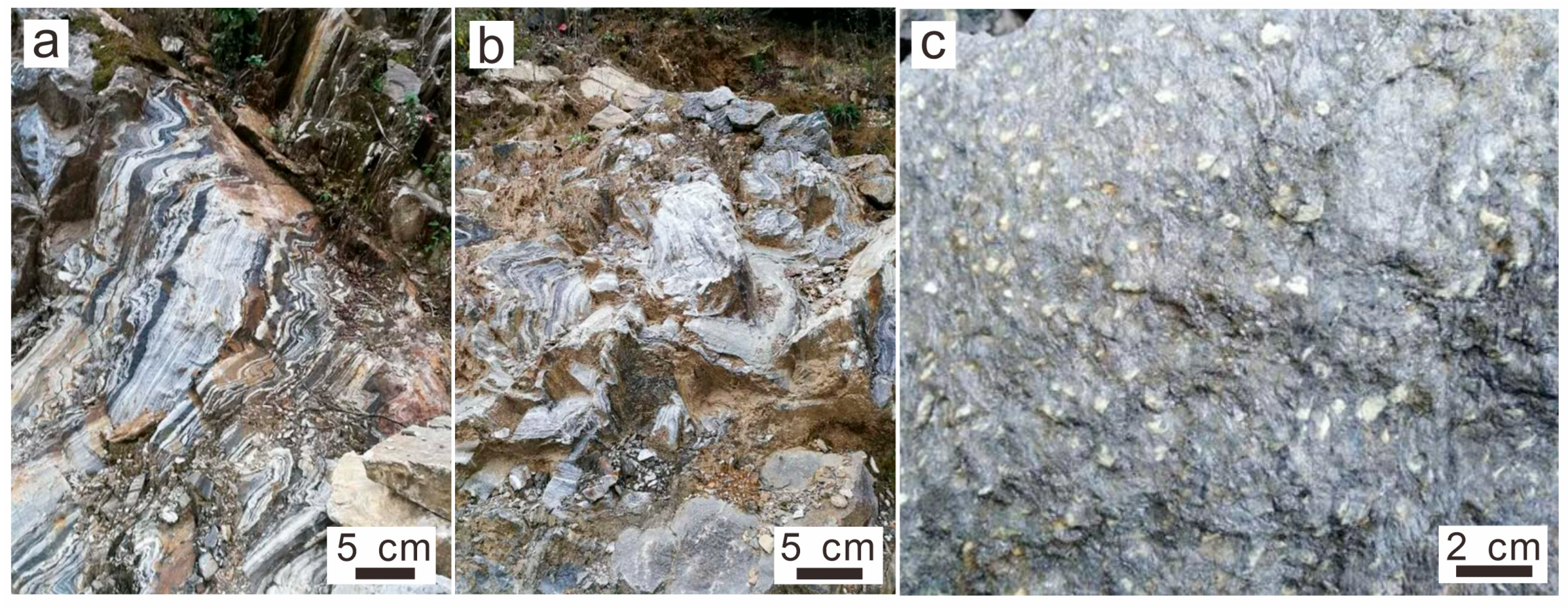 Minerals 14 01103 g010