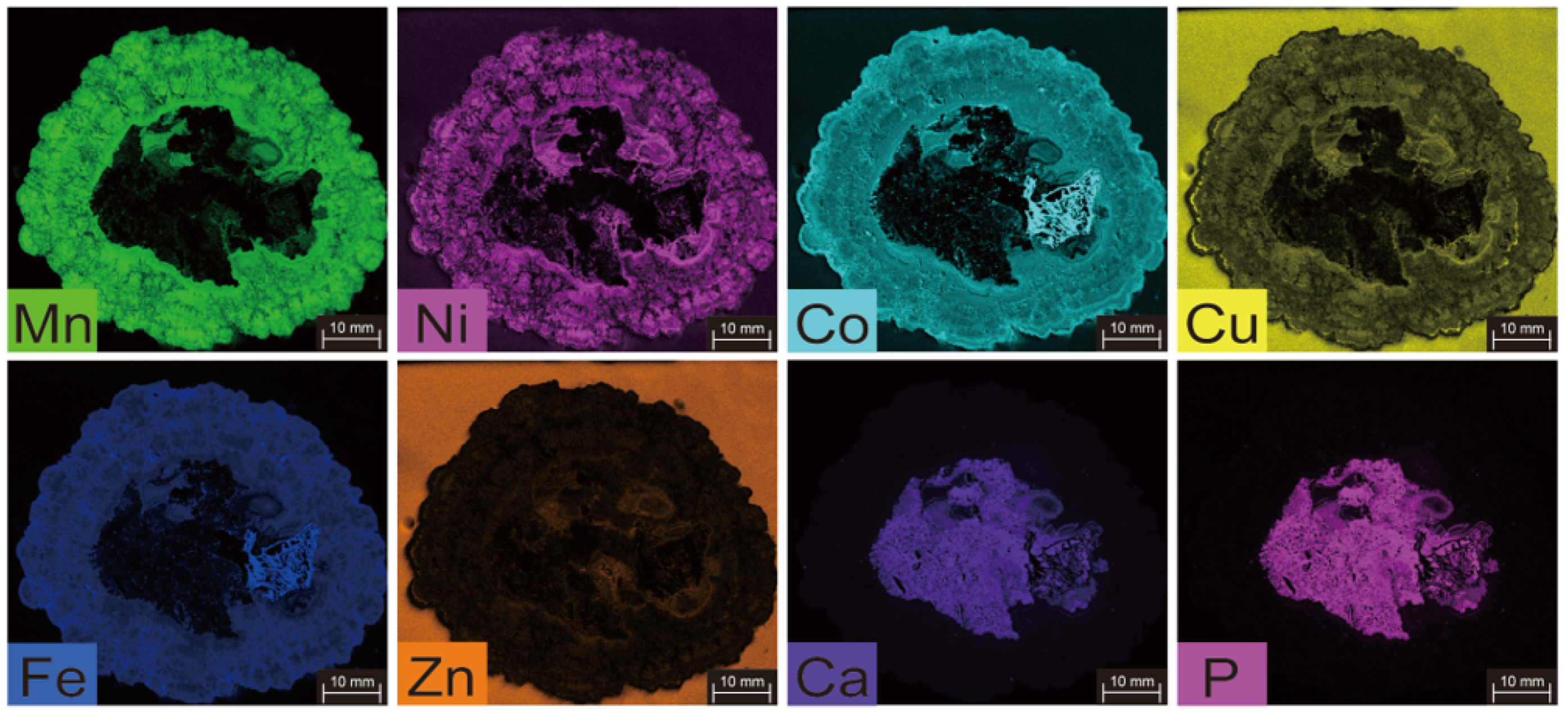 Minerals 14 01135 g005