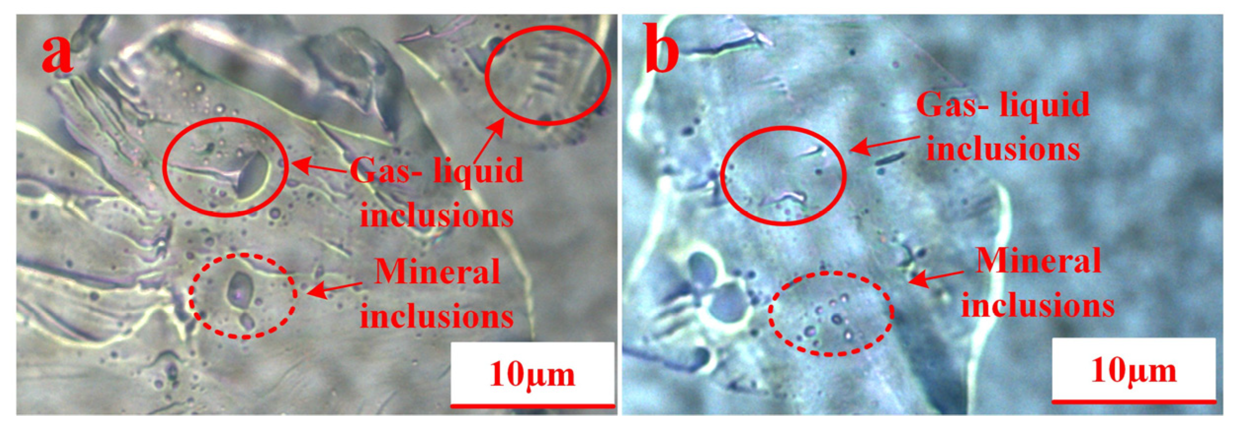 Minerals 14 01229 g005 Minerals 14 01229 g005