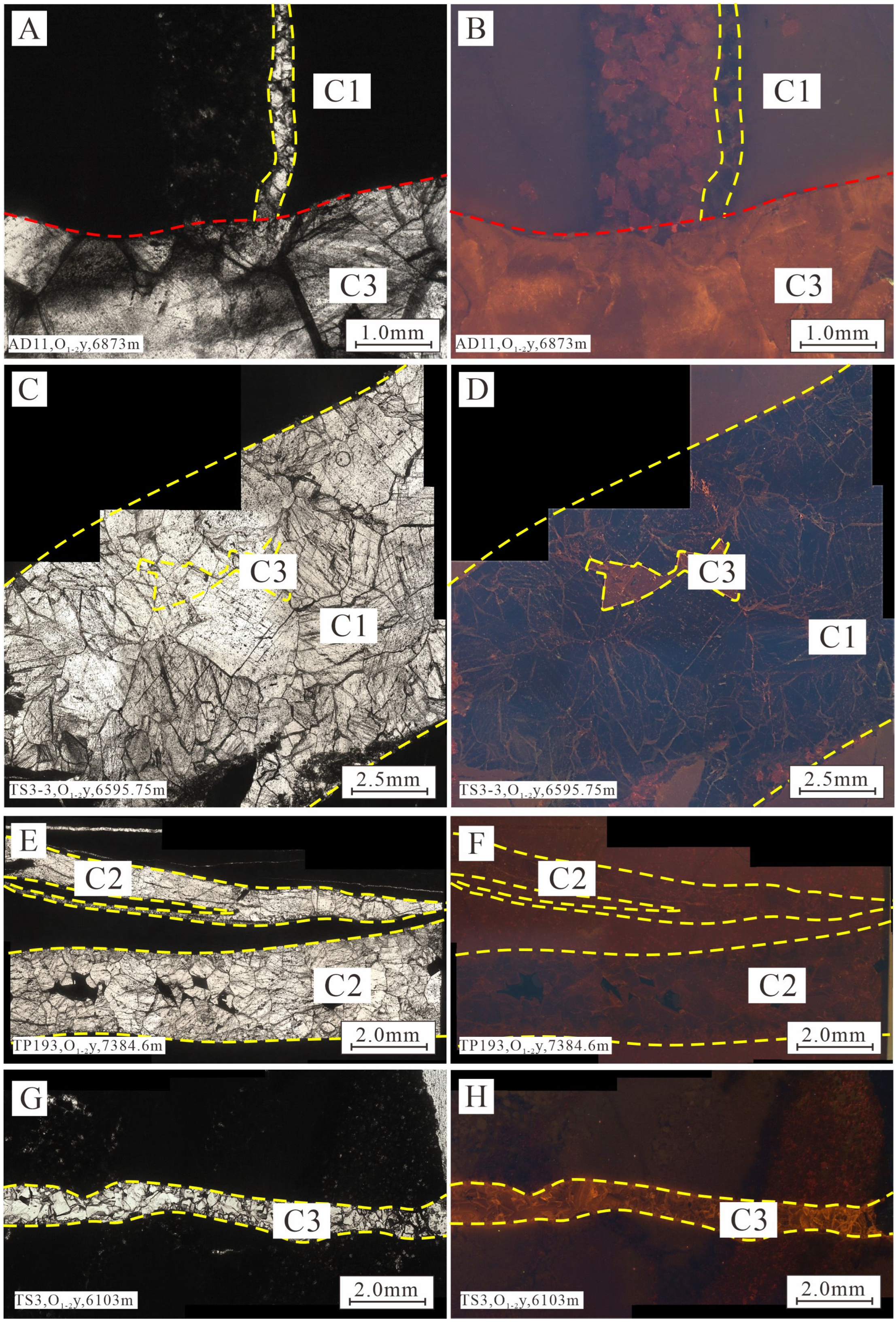 Minerals 14 01250 g002