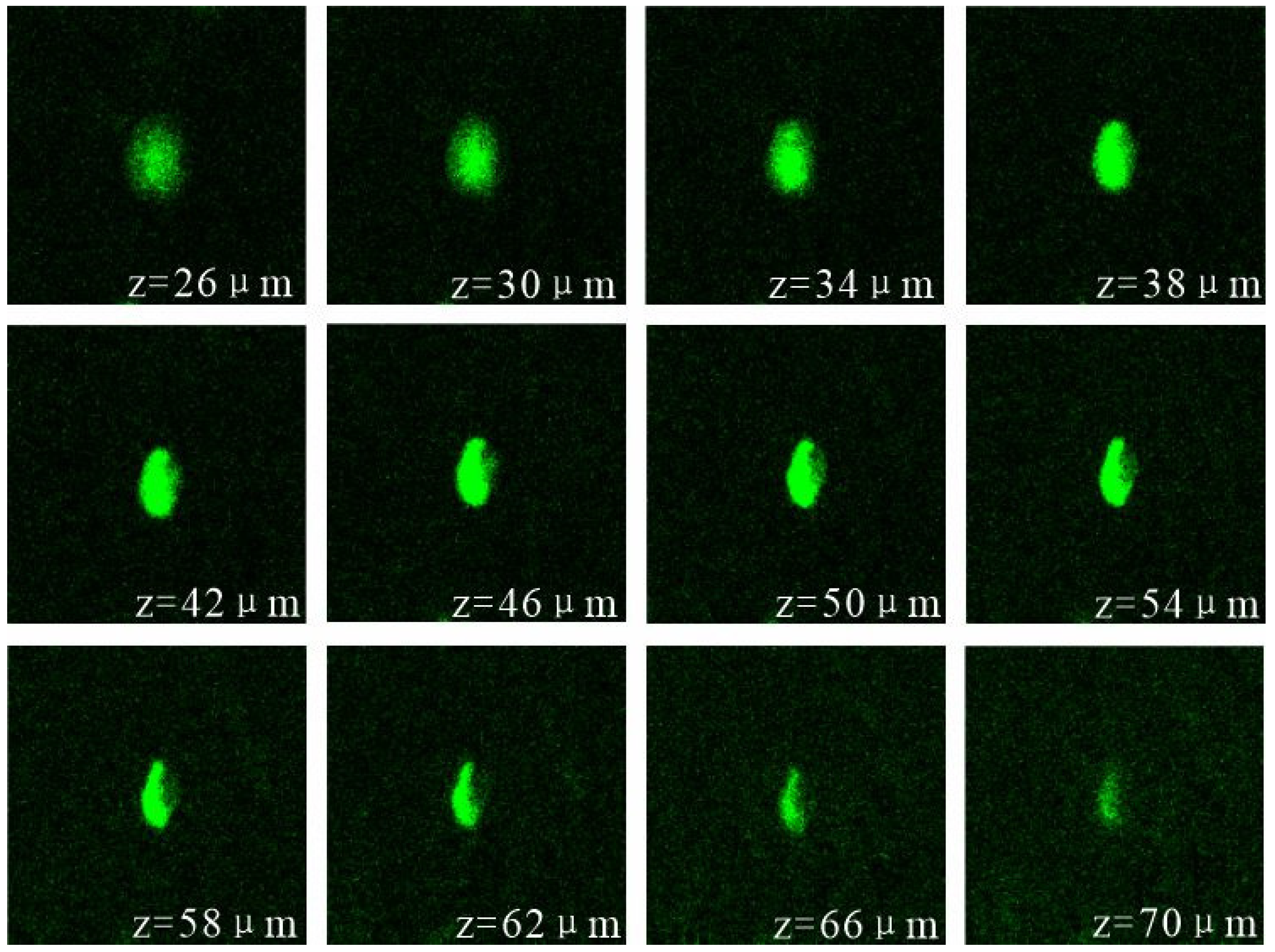 Minerals 14 01250 g006