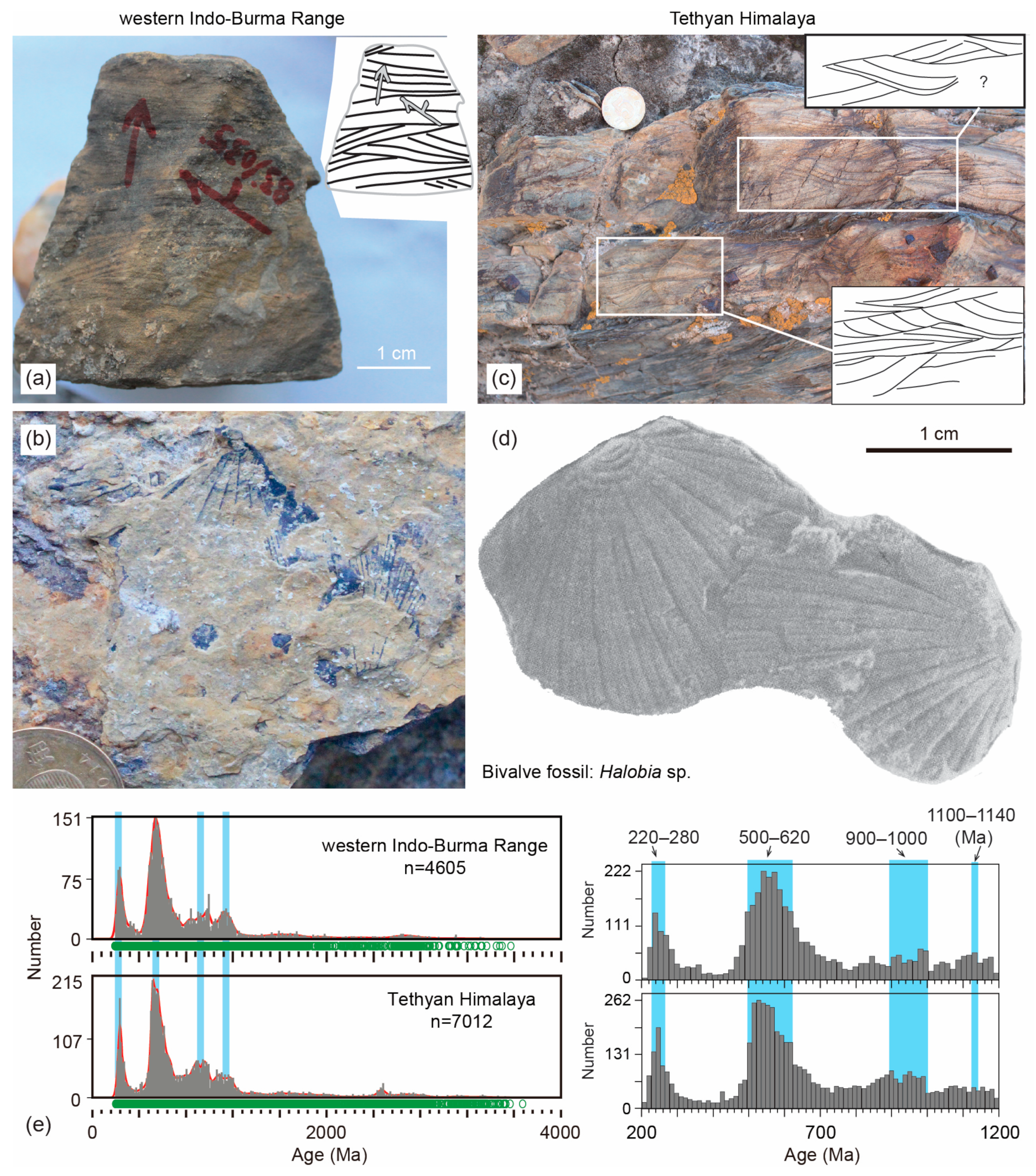 Minerals 14 01290 g009