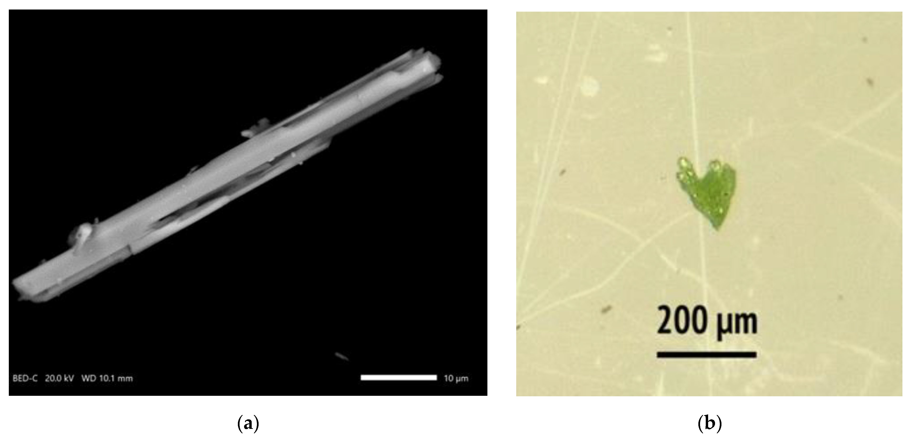 Minerals 15 00003 g001