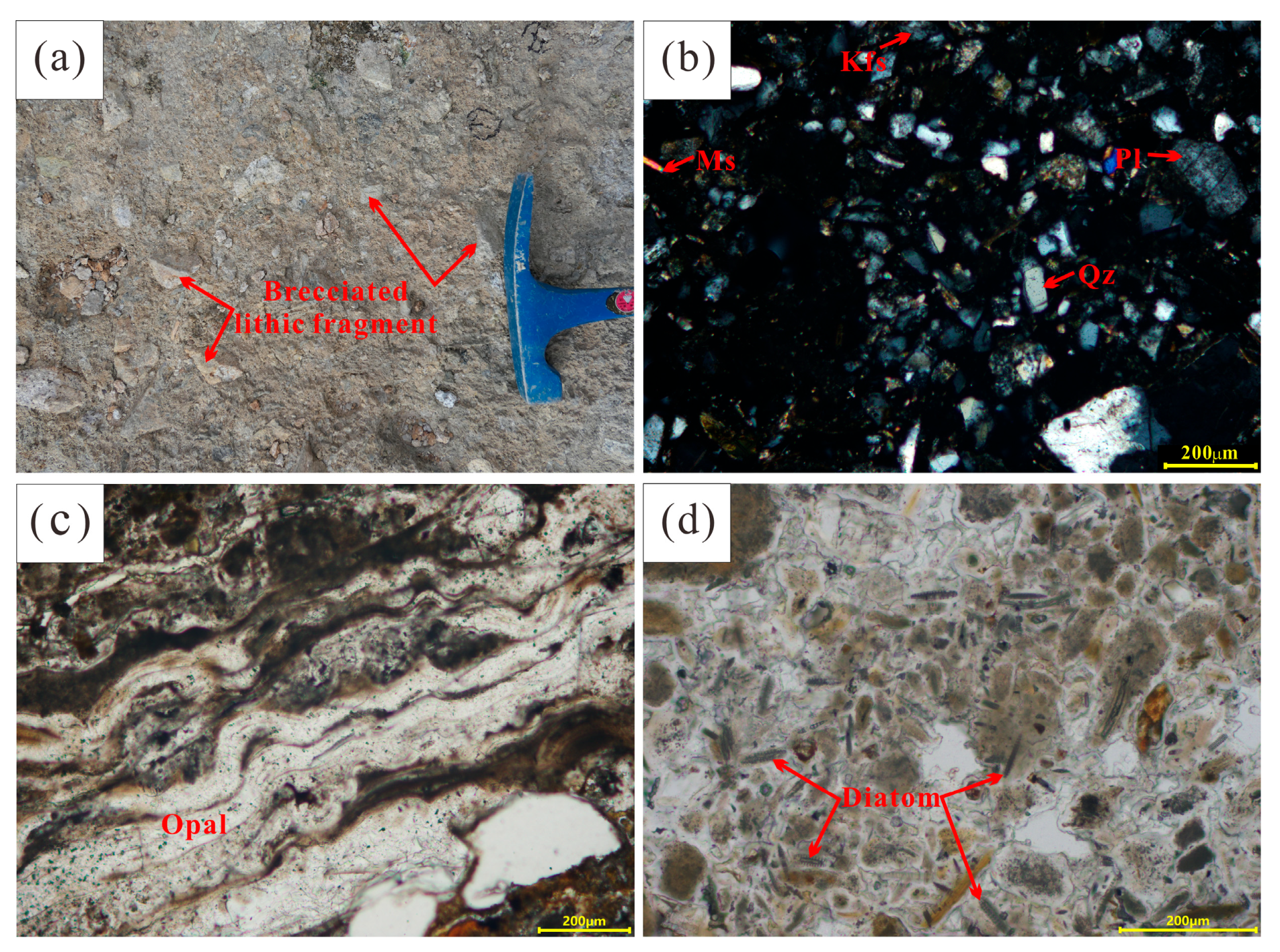 Minerals 15 00036 g004