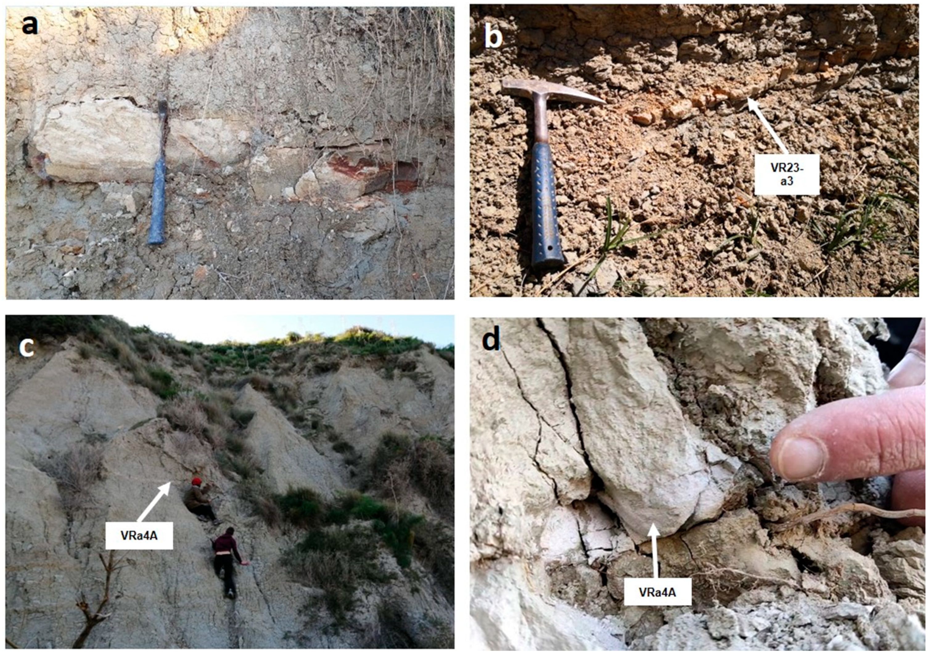 Minerals 15 00156 g003