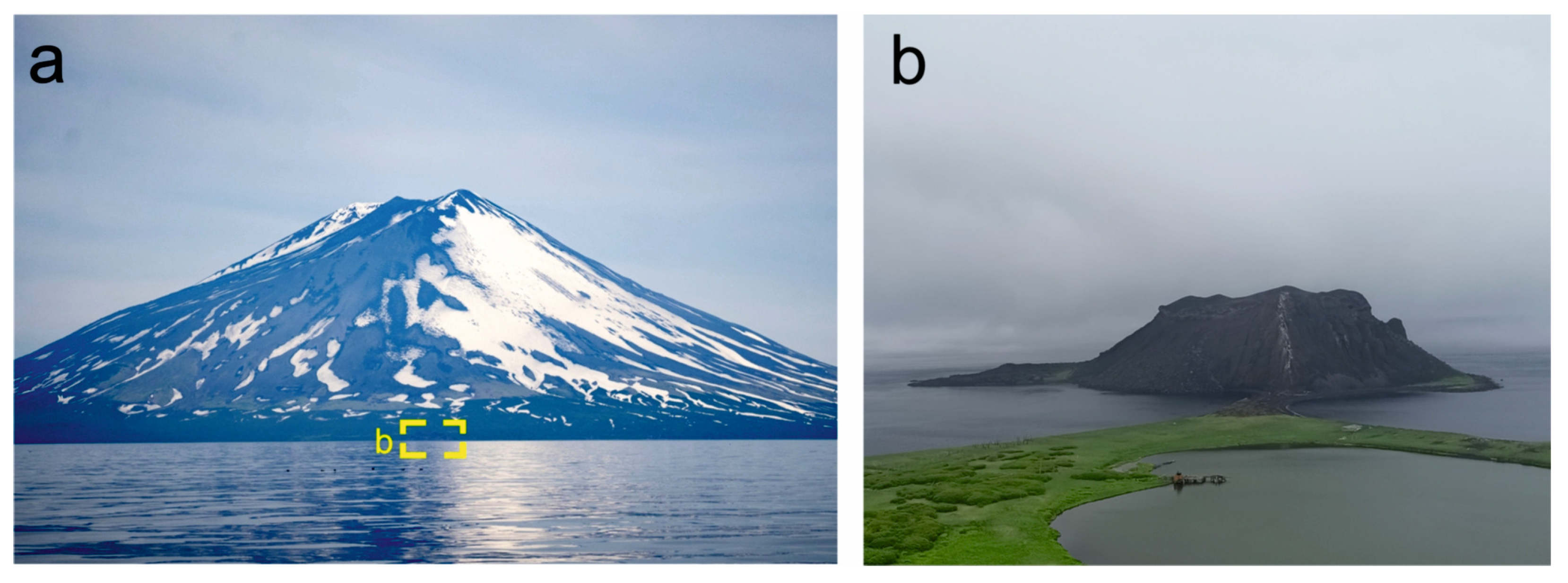 Minerals 15 00237 g002