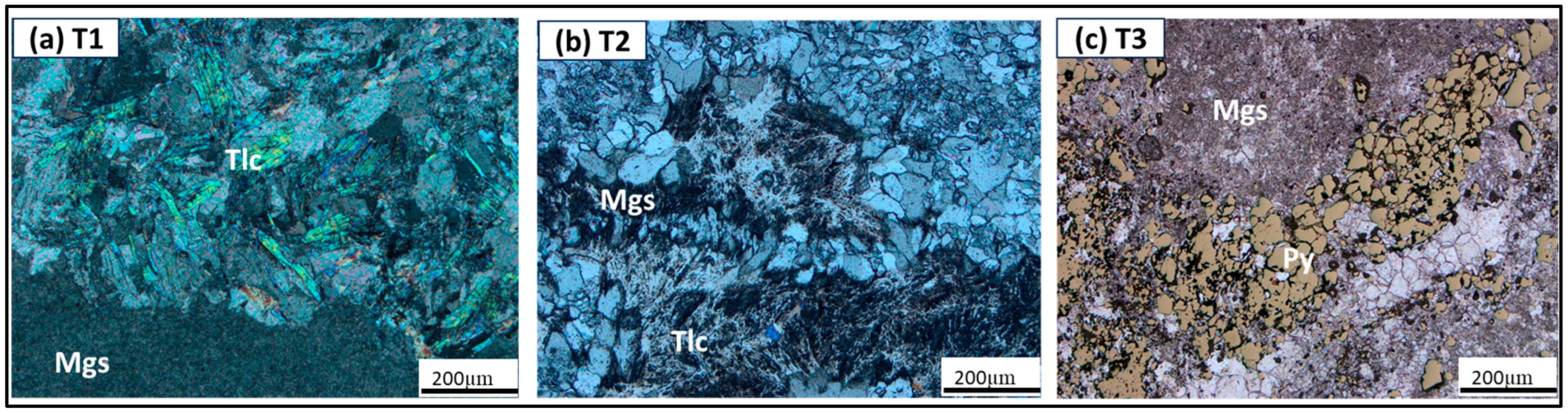 Minerals 15 00247 g007