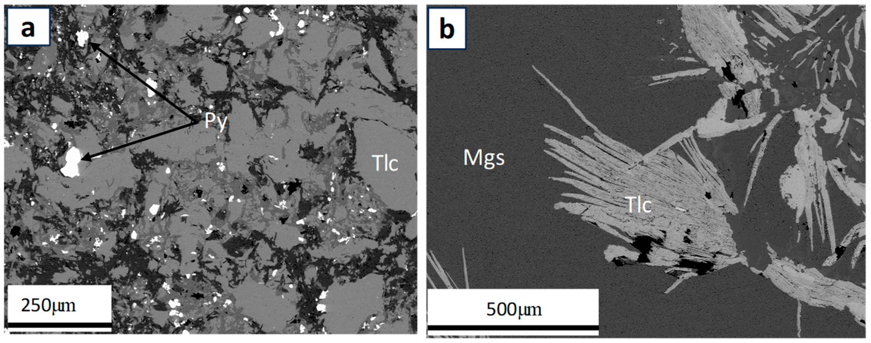Minerals 15 00247 g014