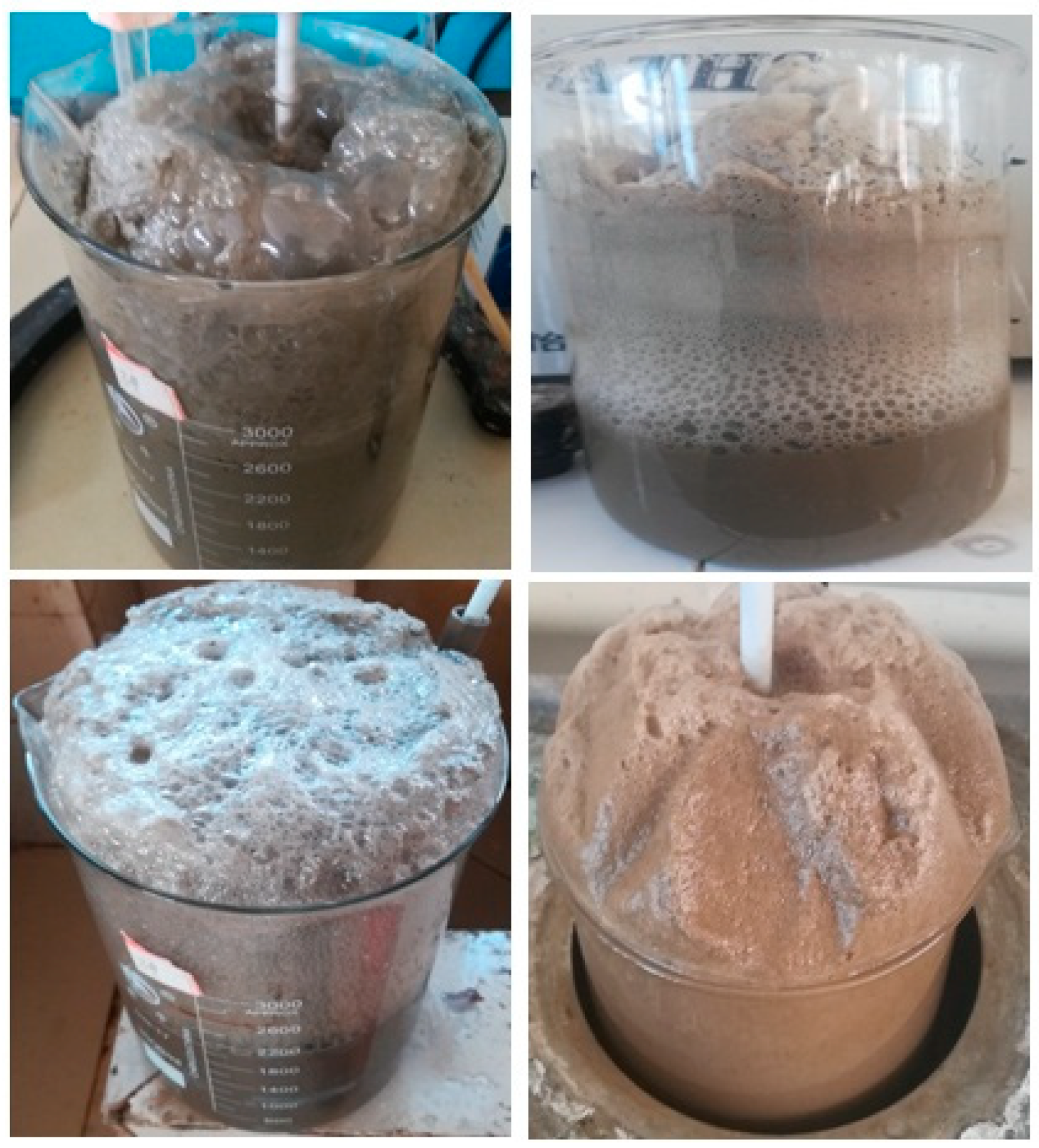 Minerals 15 00313 g001