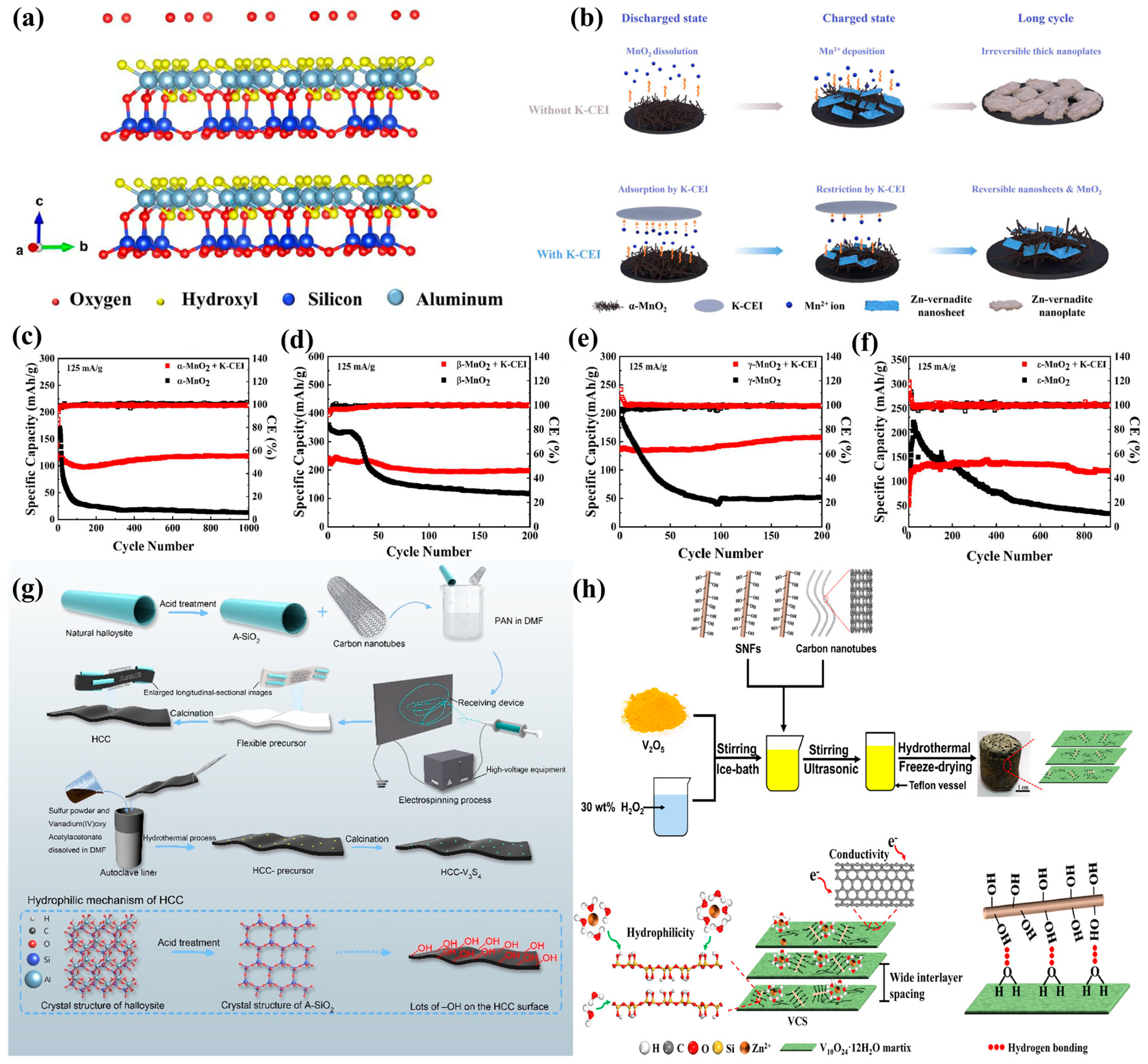 Minerals 15 00328 g005