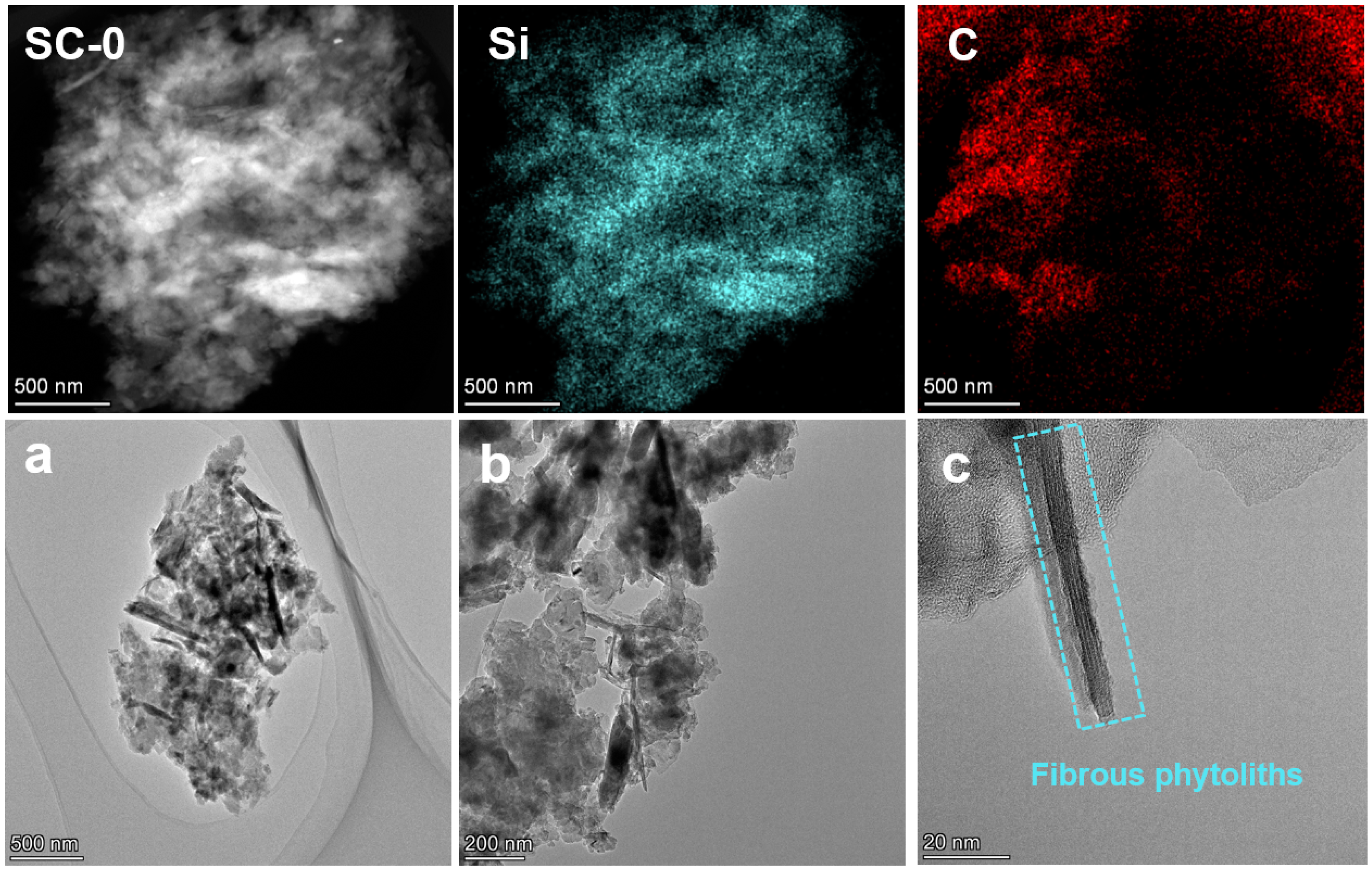 Minerals 15 00329 g008