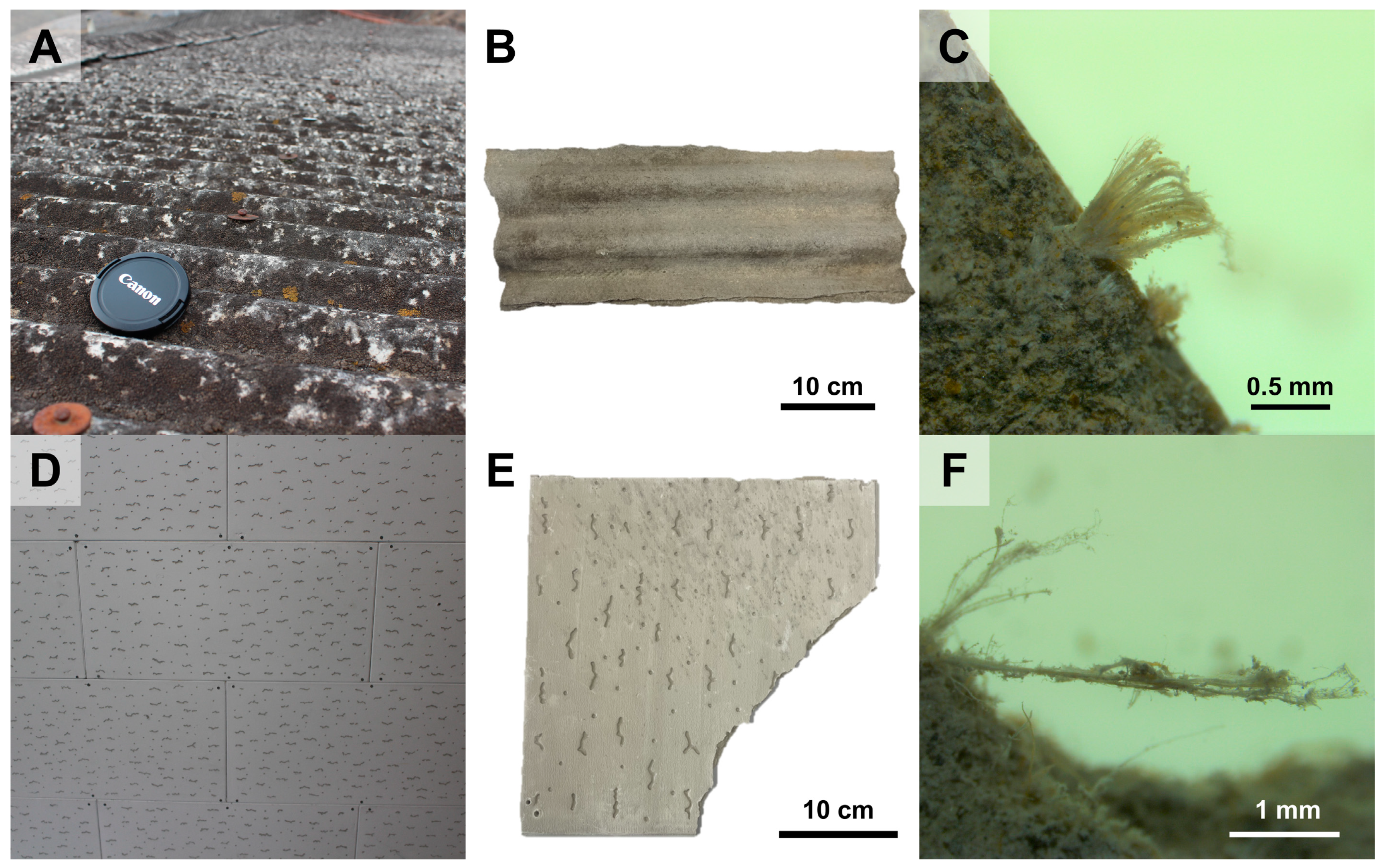 Minerals 15 00344 g001