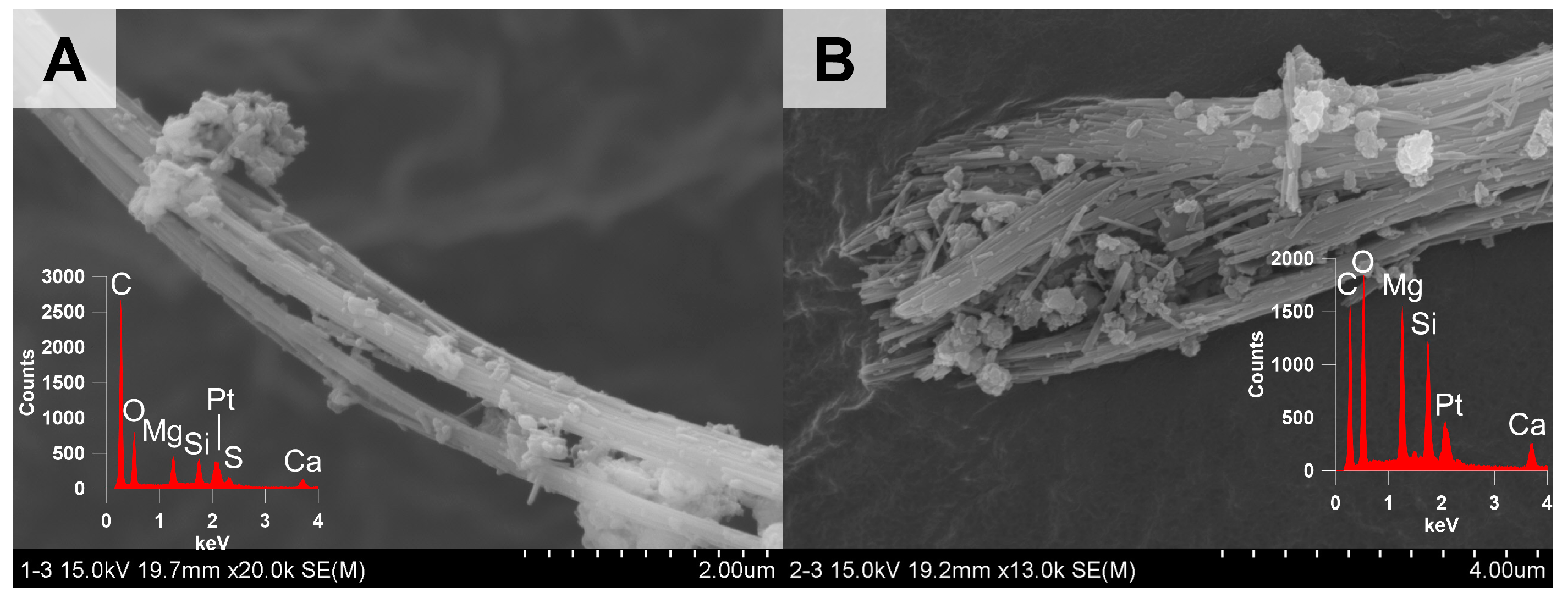 Minerals 15 00344 g006