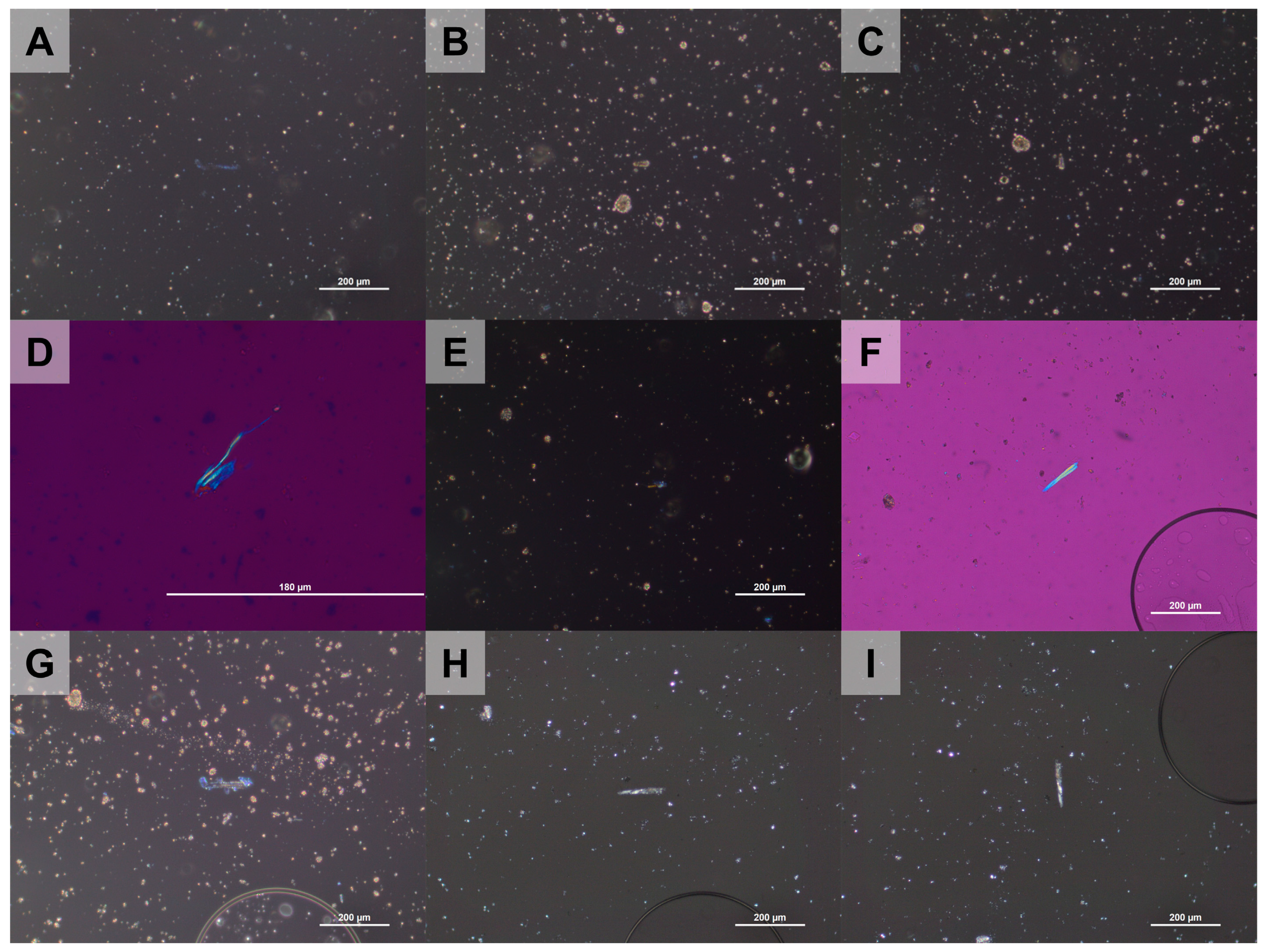 Minerals 15 00344 g010