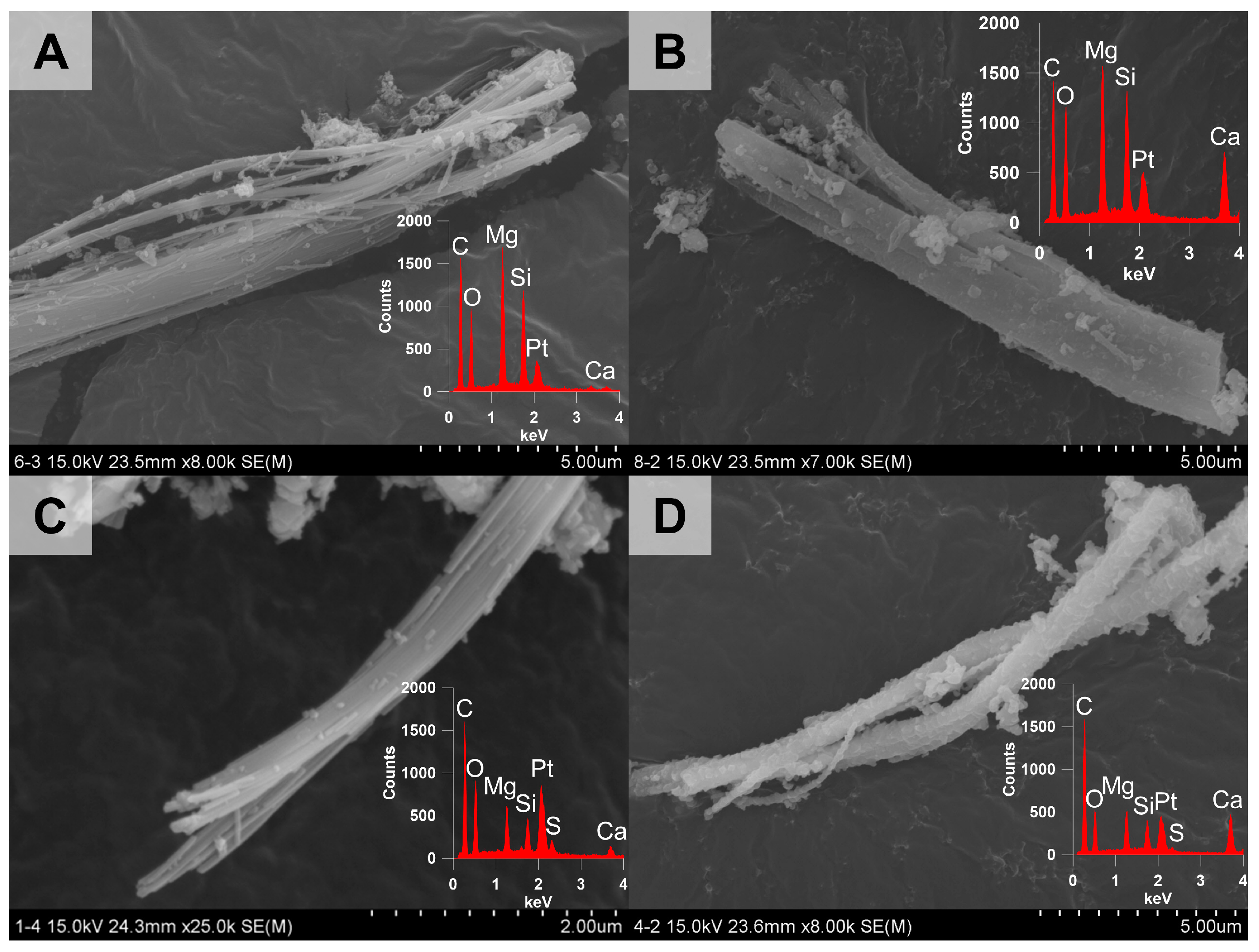 Minerals 15 00344 g011