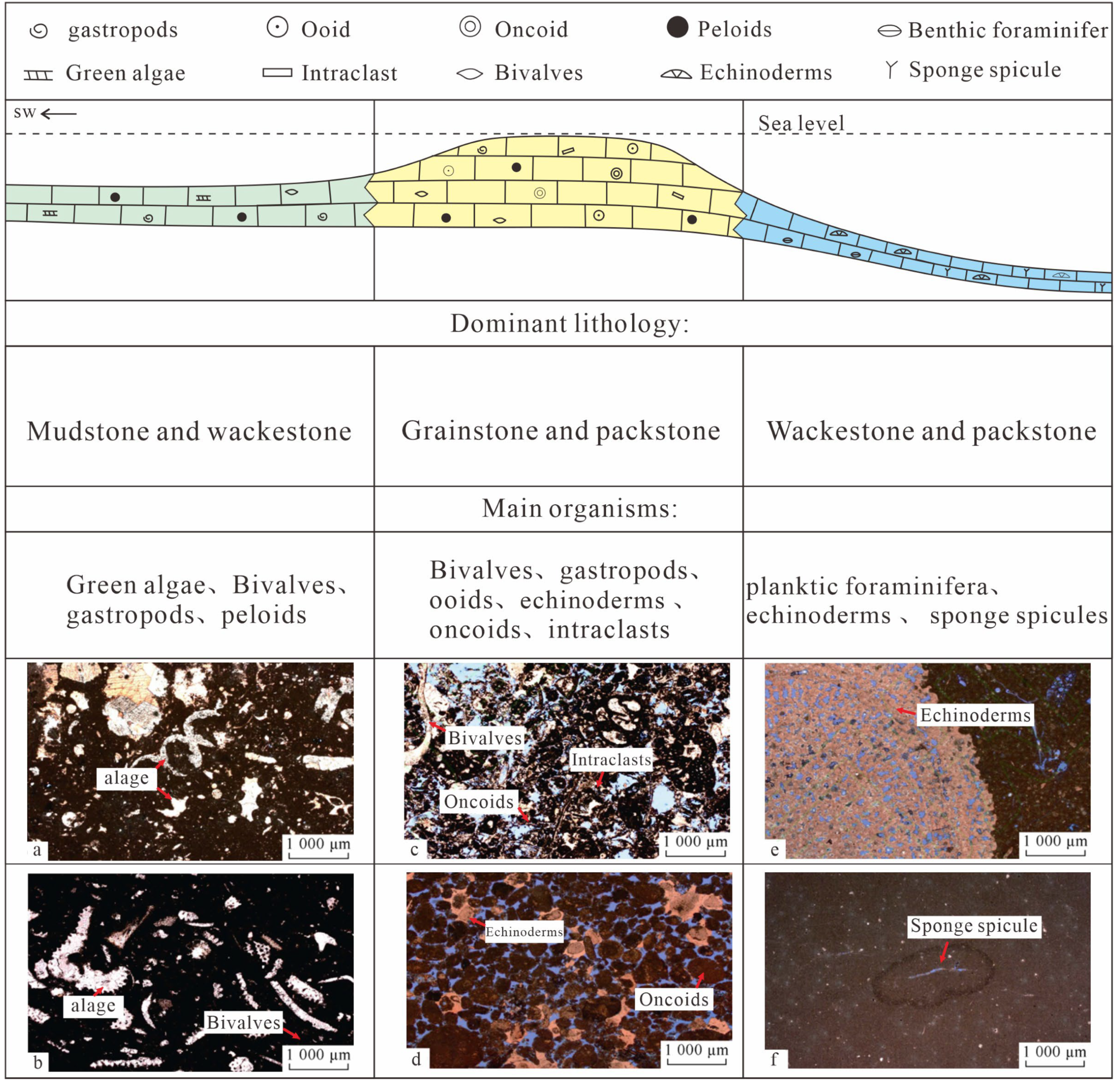 Minerals 15 00363 g002