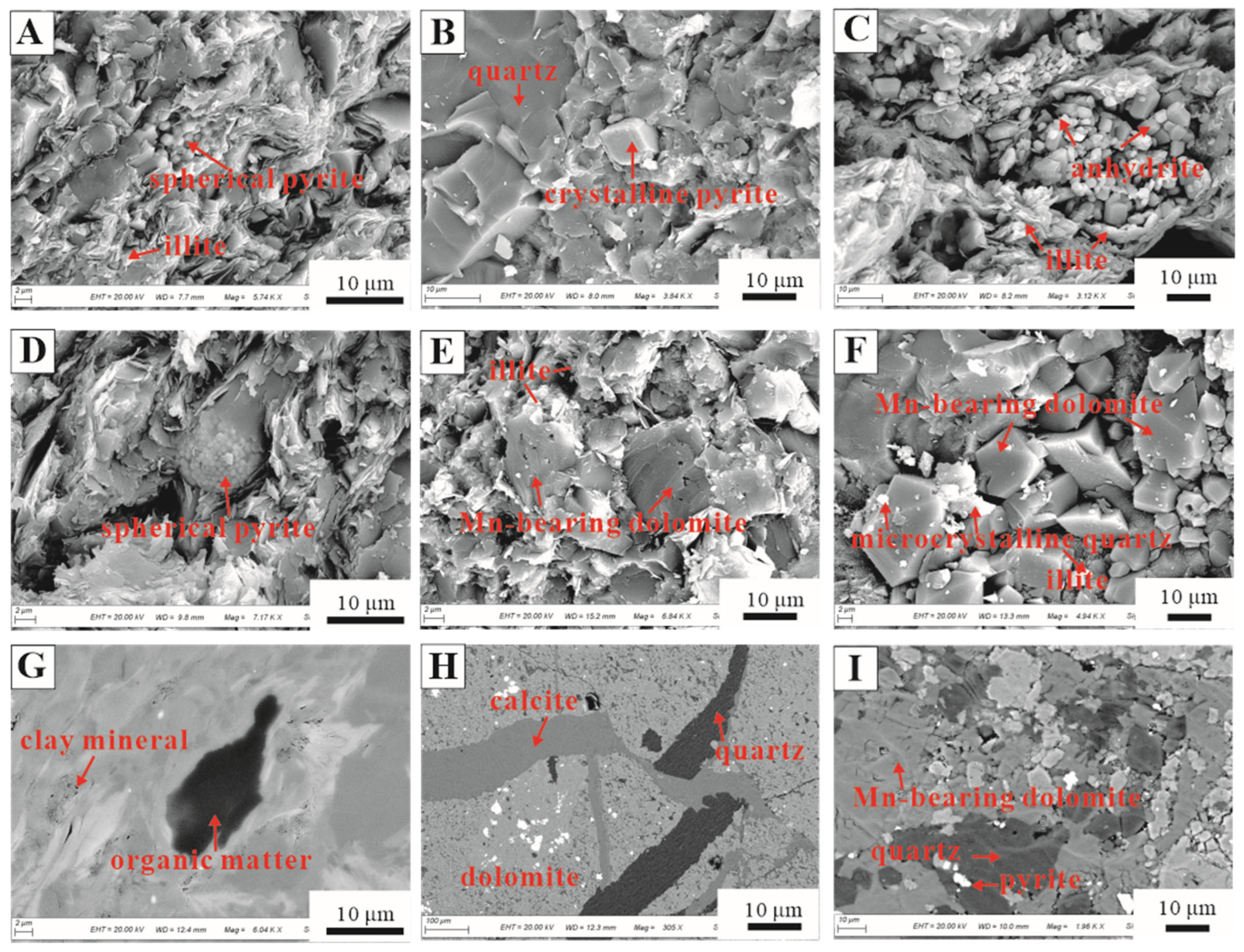 Minerals 15 00366 g003