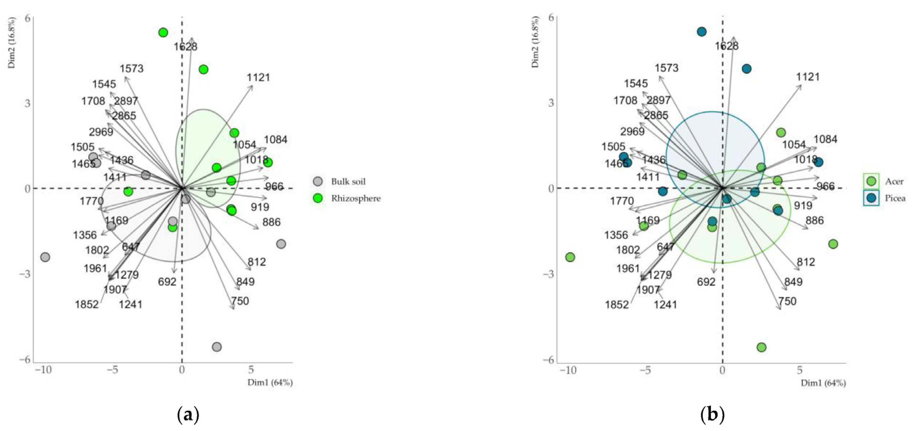Minerals 15 00430 g006