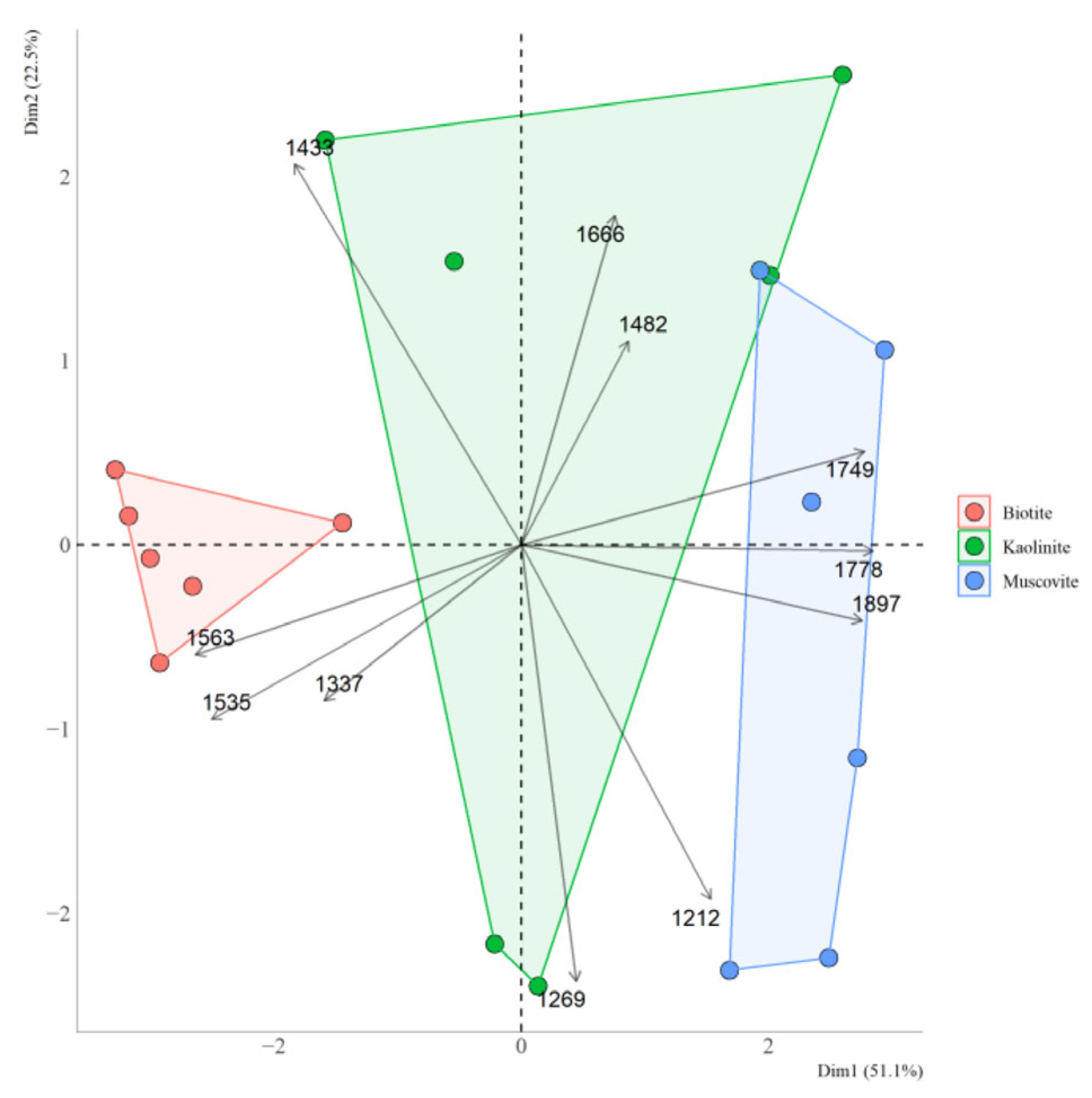 Minerals 15 00430 g011
