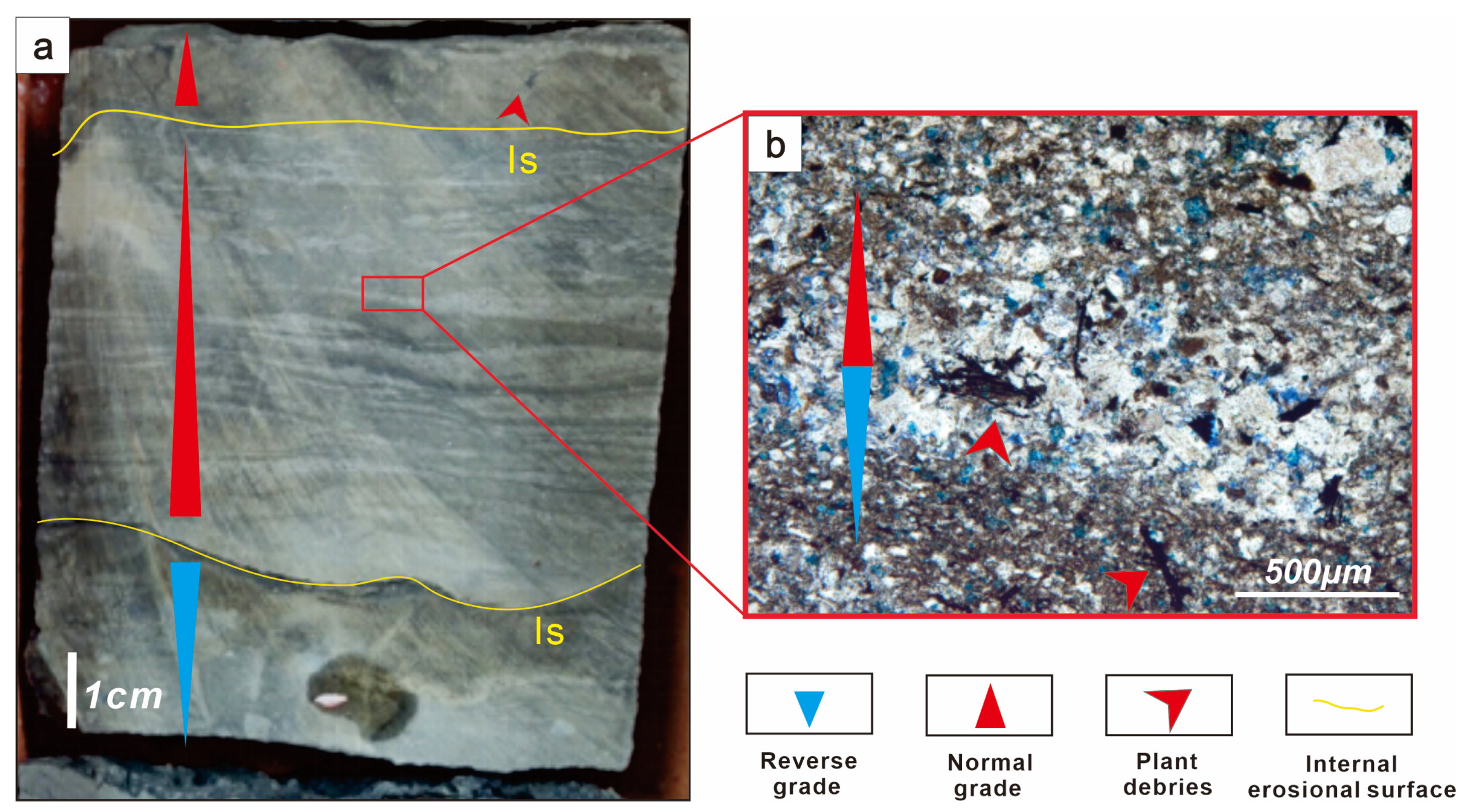 Minerals 15 00438 g005