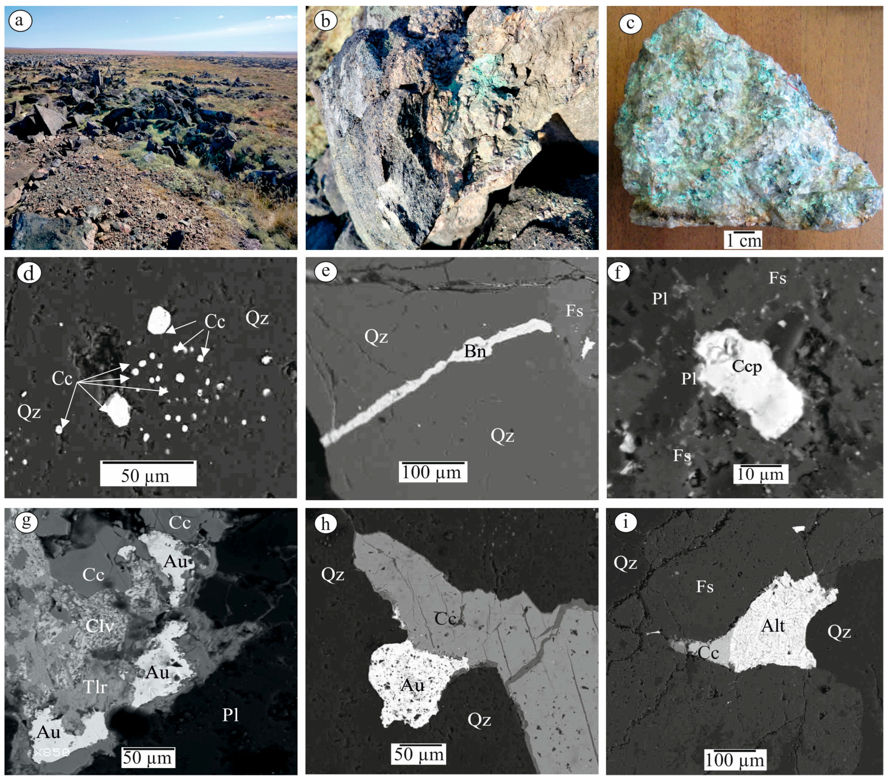 Minerals 15 00774 g004