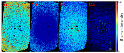 Minerals 15 01061 g006 Minerals 15 01061 g006