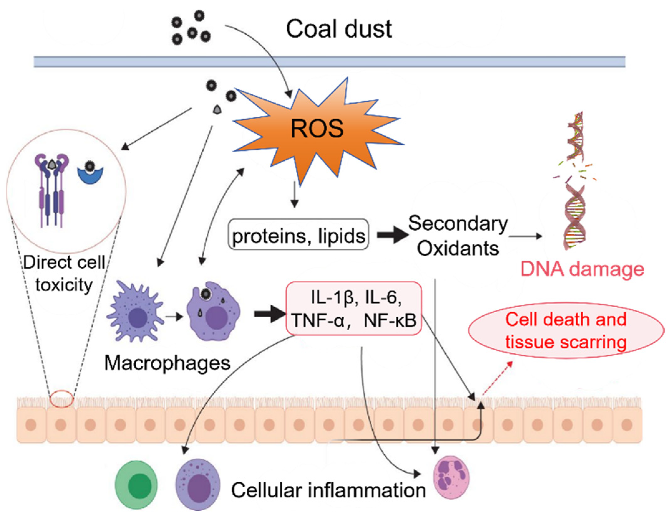 Minerals 15 01075 g005 Minerals 15 01075 g005