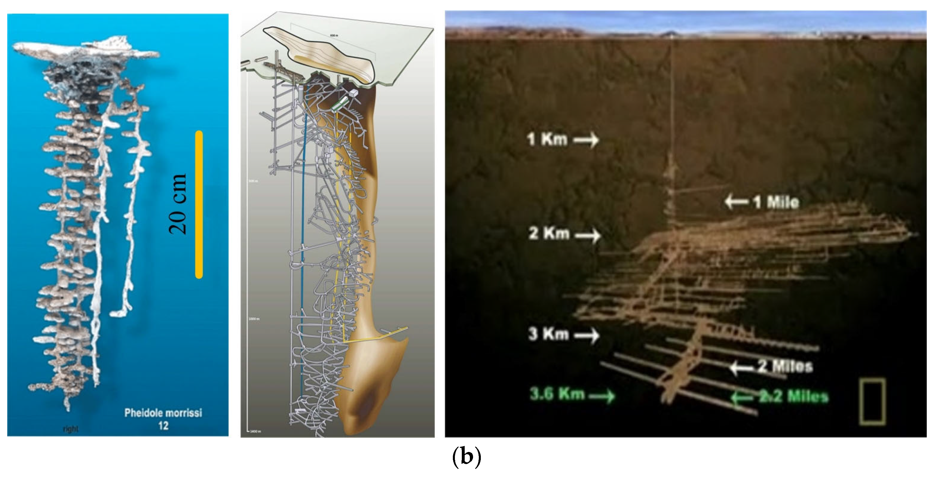 Mining 04 00016 g010b Mining 04 00016 g010b