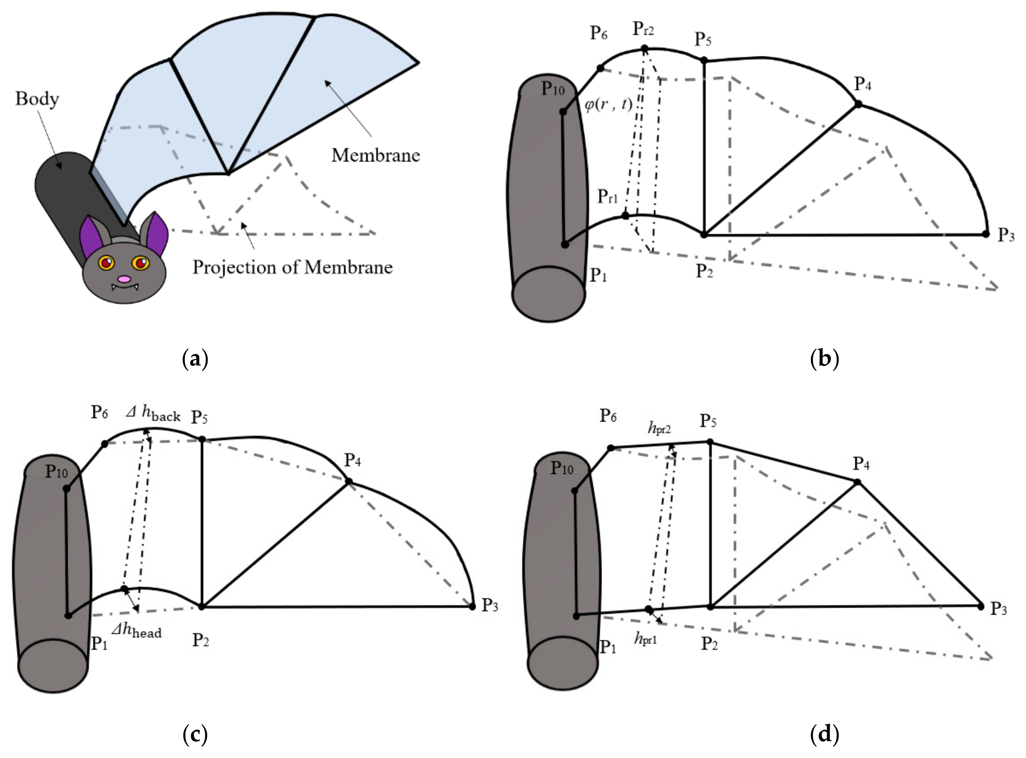 Modelling 06 00117 g005 Modelling 06 00117 g005