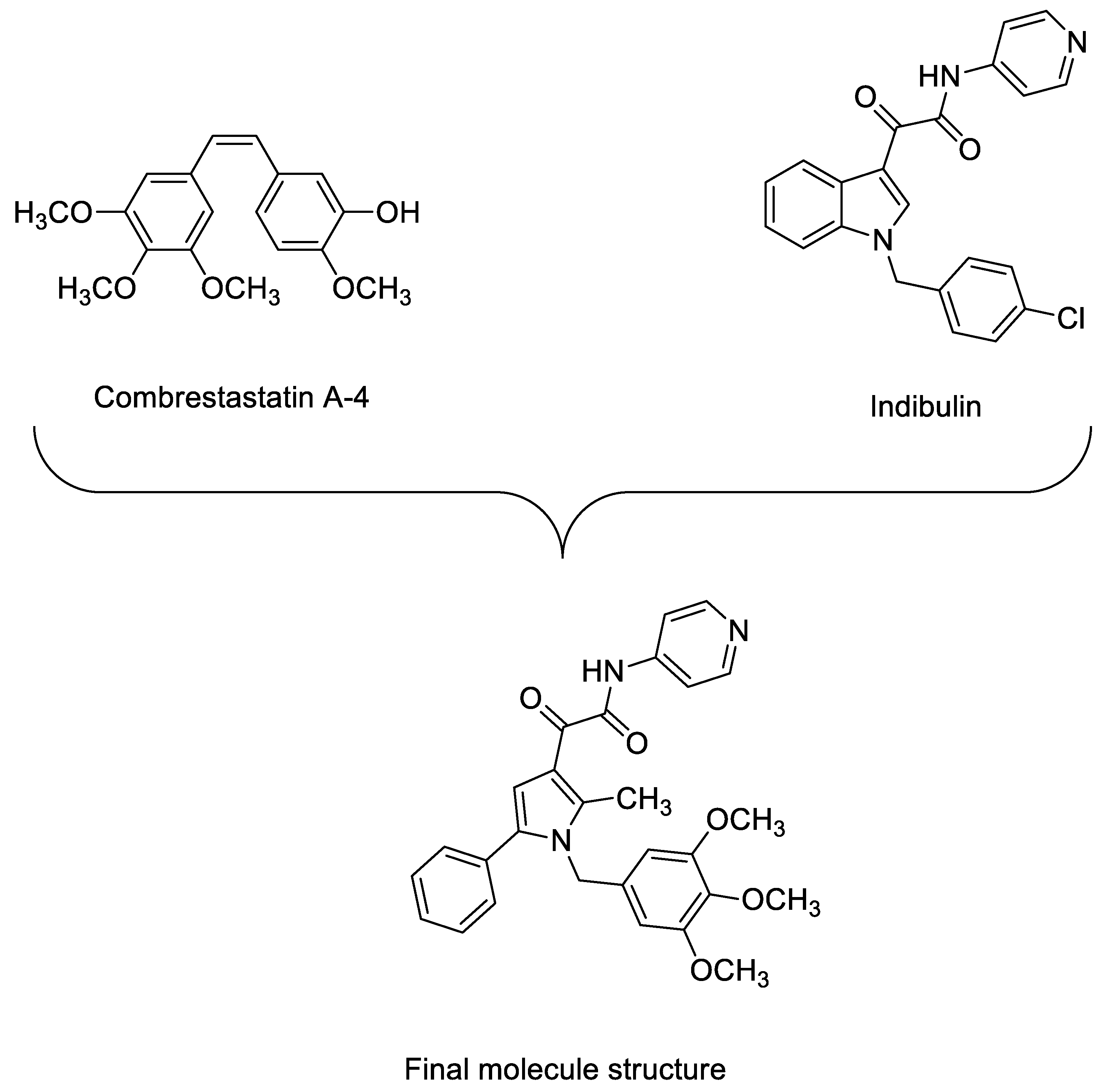 Molbank 2018 01002 g003