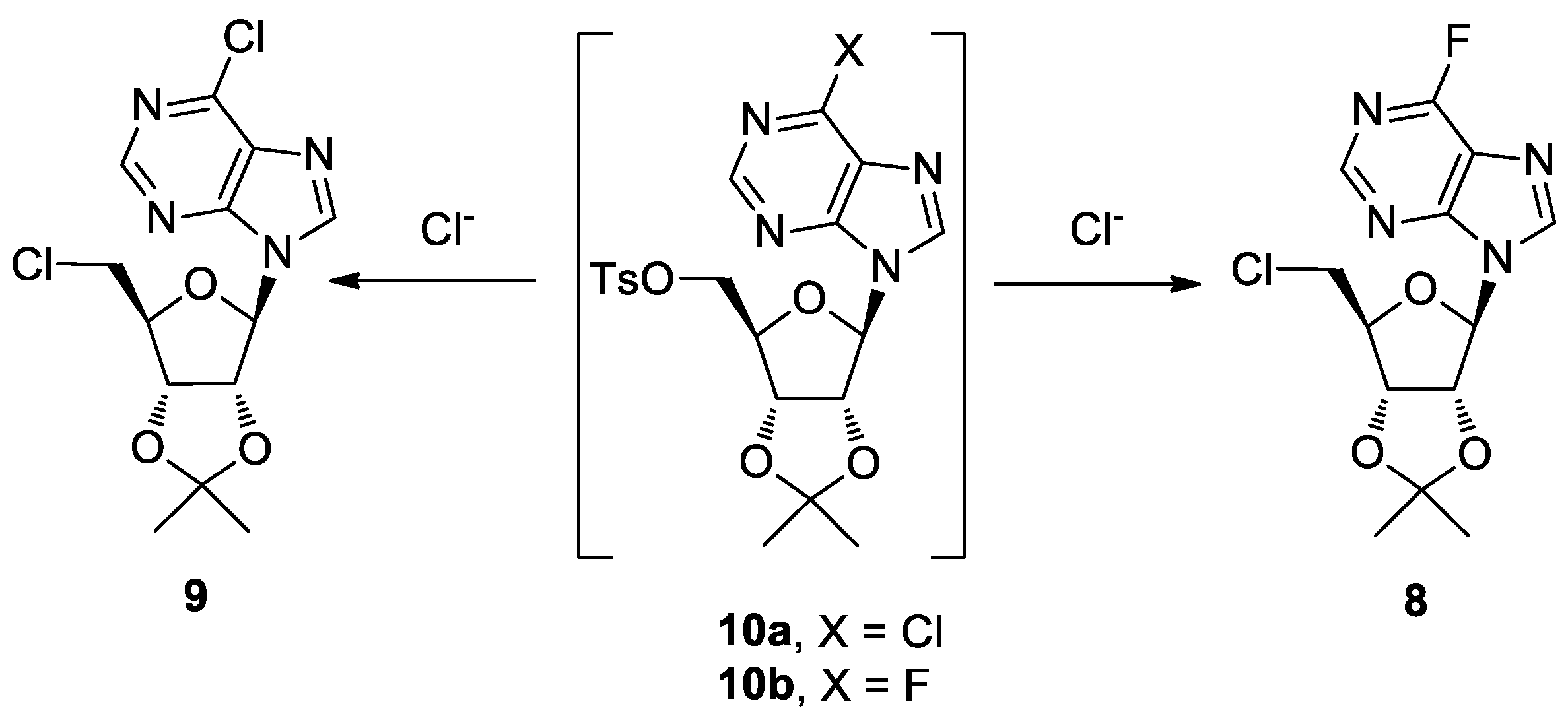 Molbank 2019 m1097 sch002 Molbank 2019 m1097 sch002