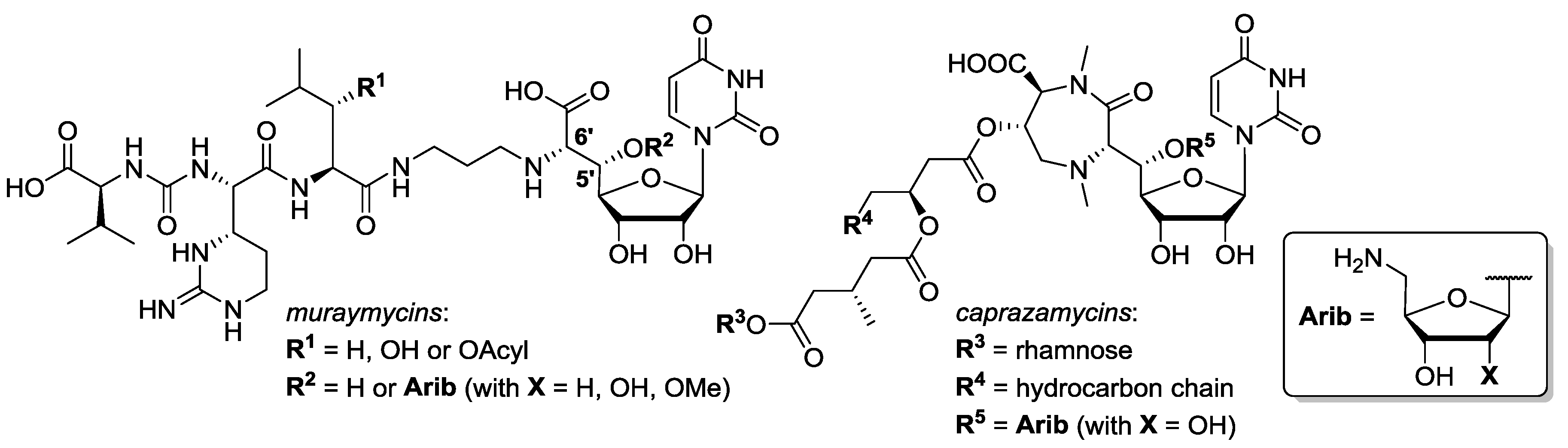 Molbank 2020 m1122 g001 Molbank 2020 m1122 g001