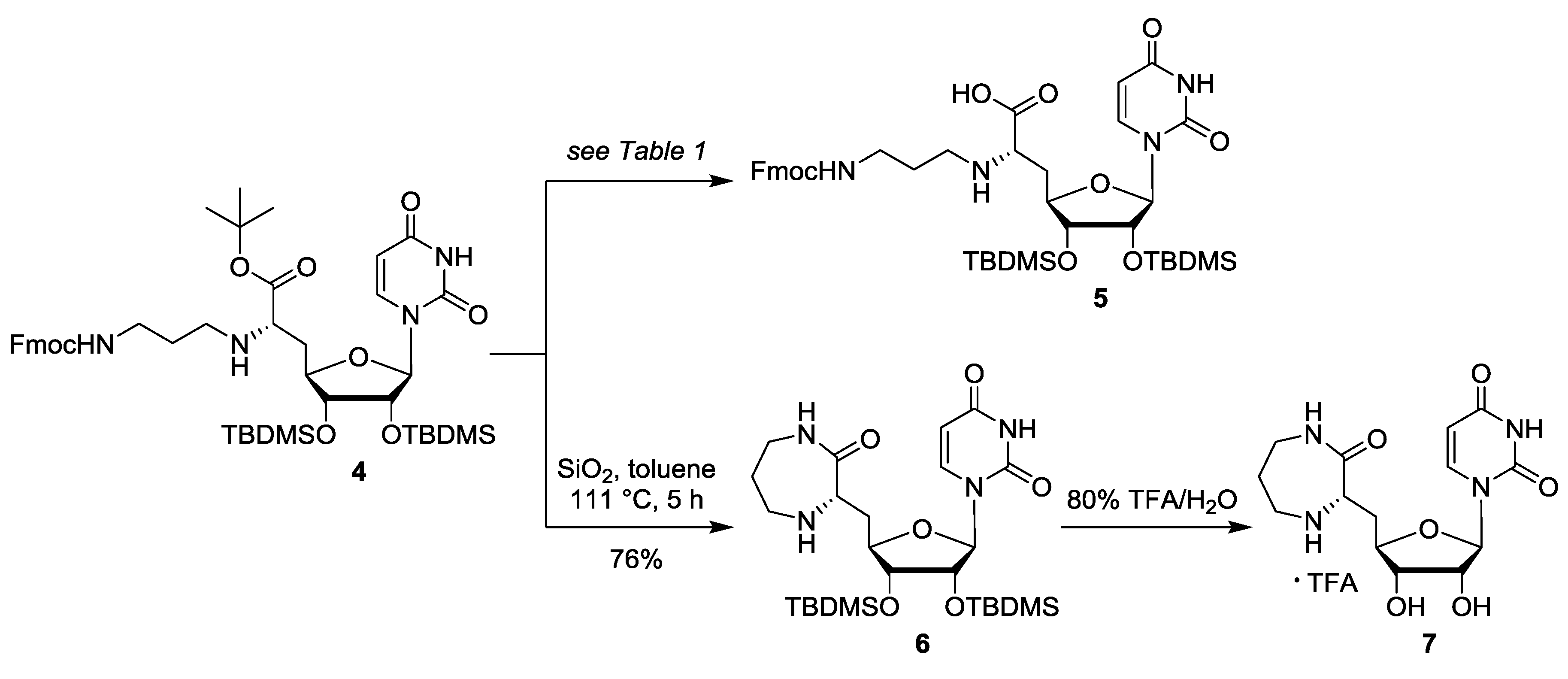 Molbank 2020 m1122 sch002 Molbank 2020 m1122 sch002