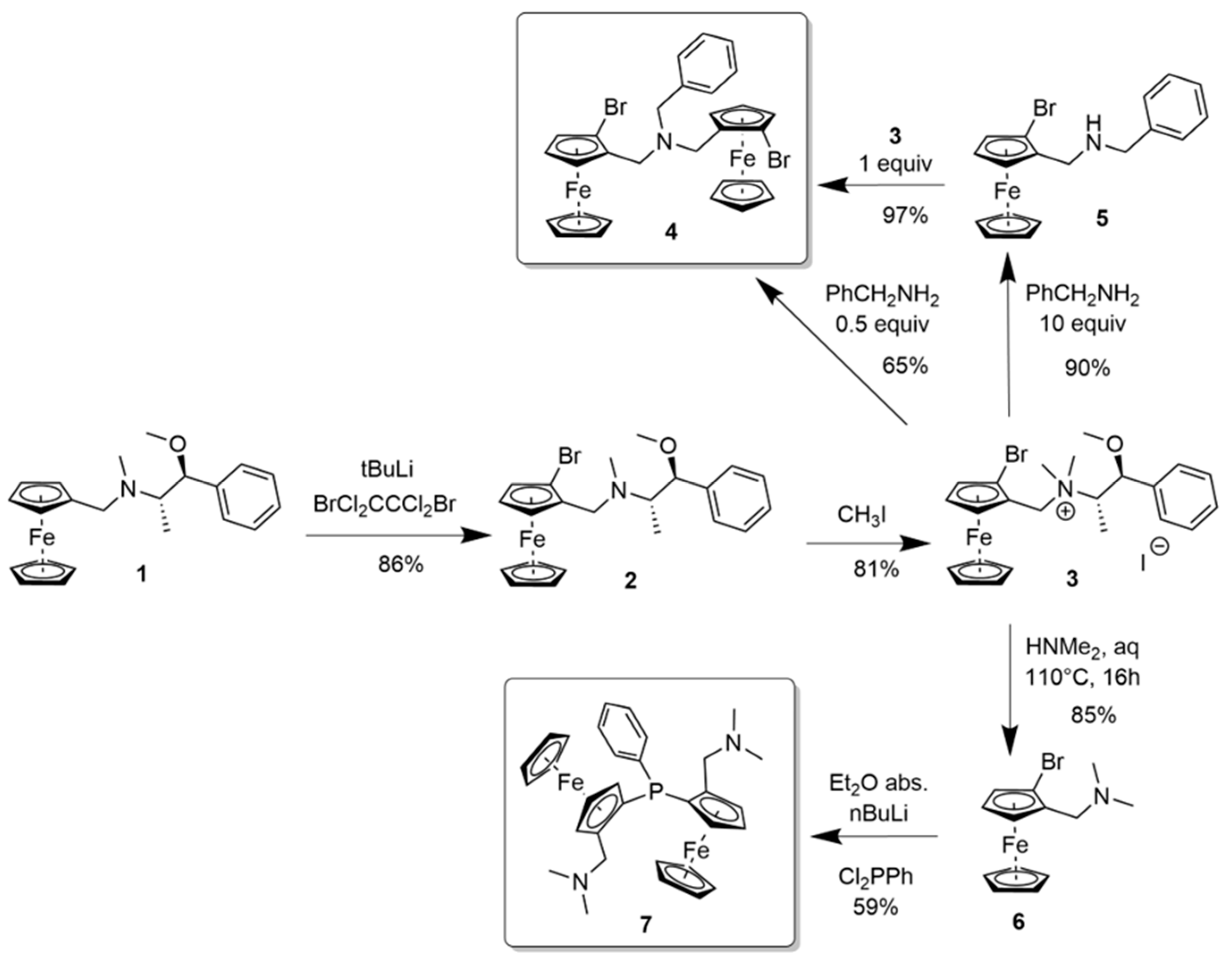 Molbank 2020 m1130 sch003