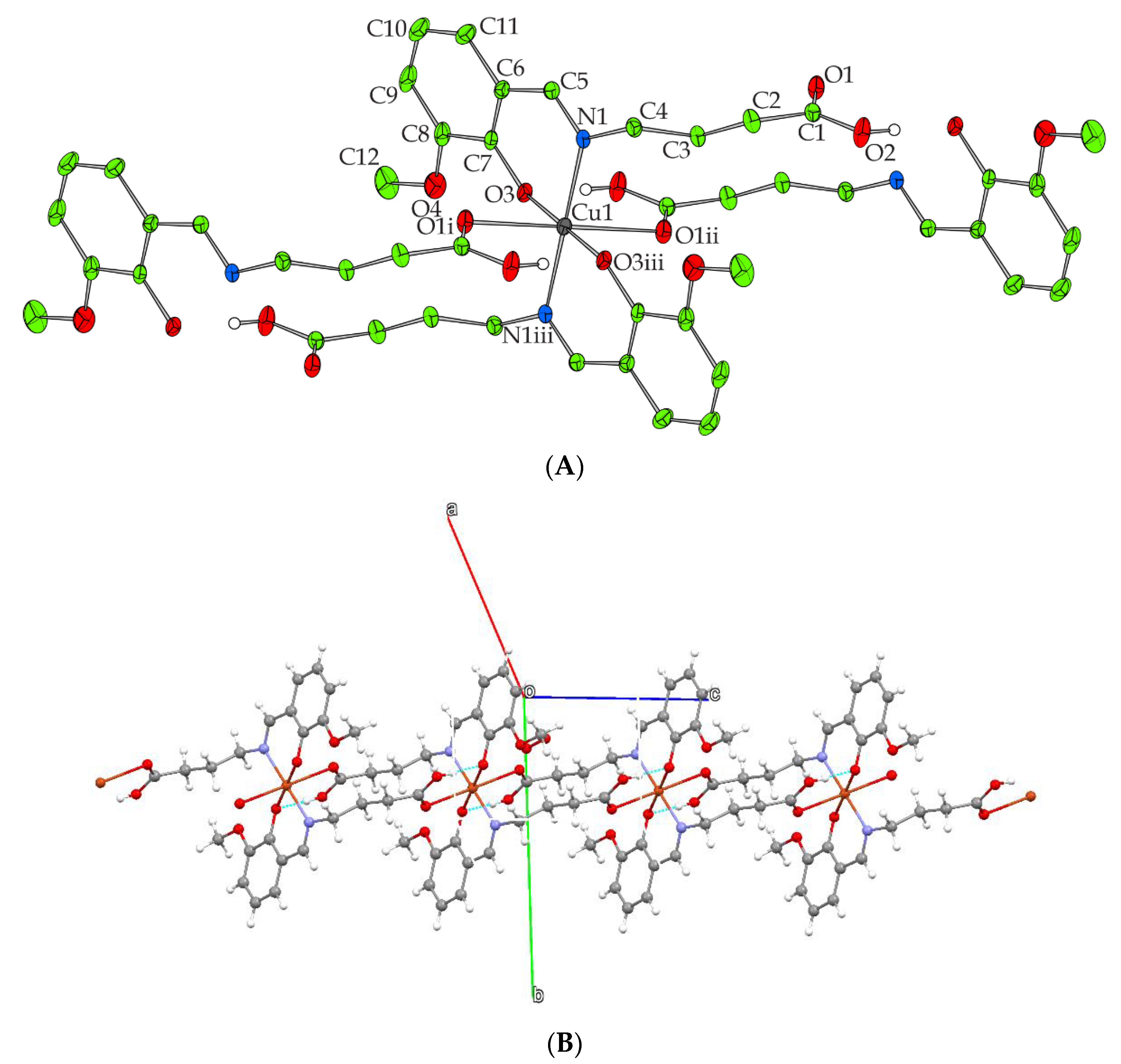 Molbank 2021 m1179 g001 Molbank 2021 m1179 g001