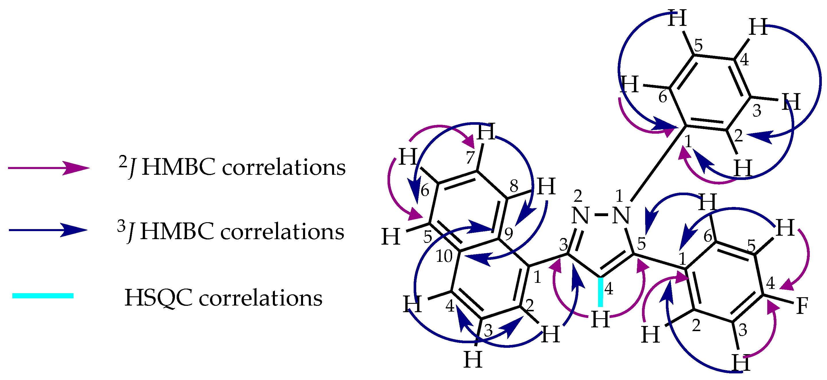 Molbank 2021 m1197 g002 Molbank 2021 m1197 g002