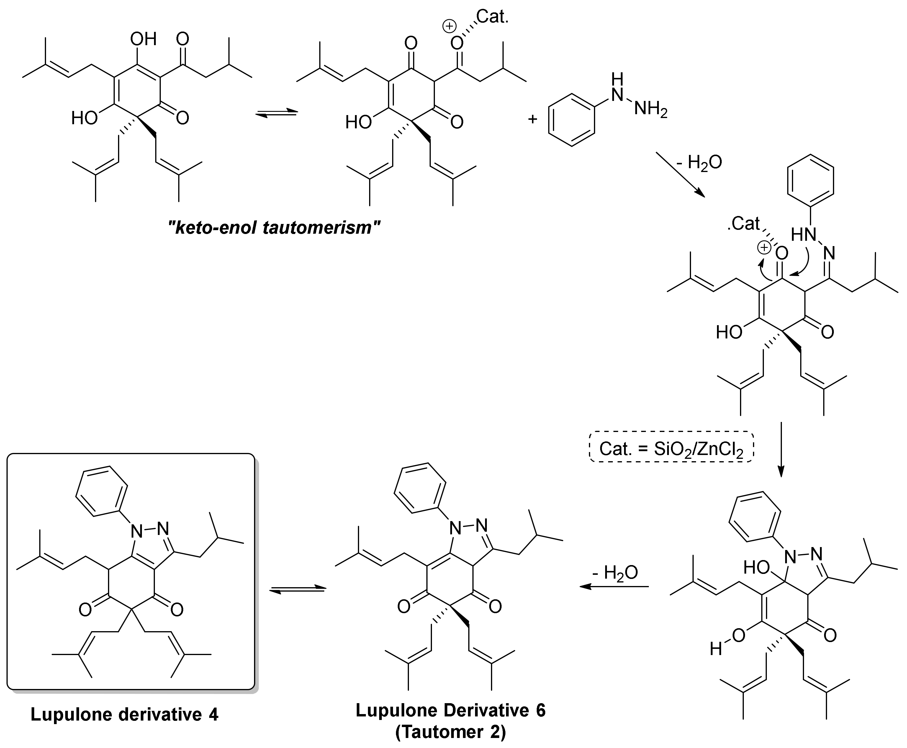 Molbank 2022 m1330 g004