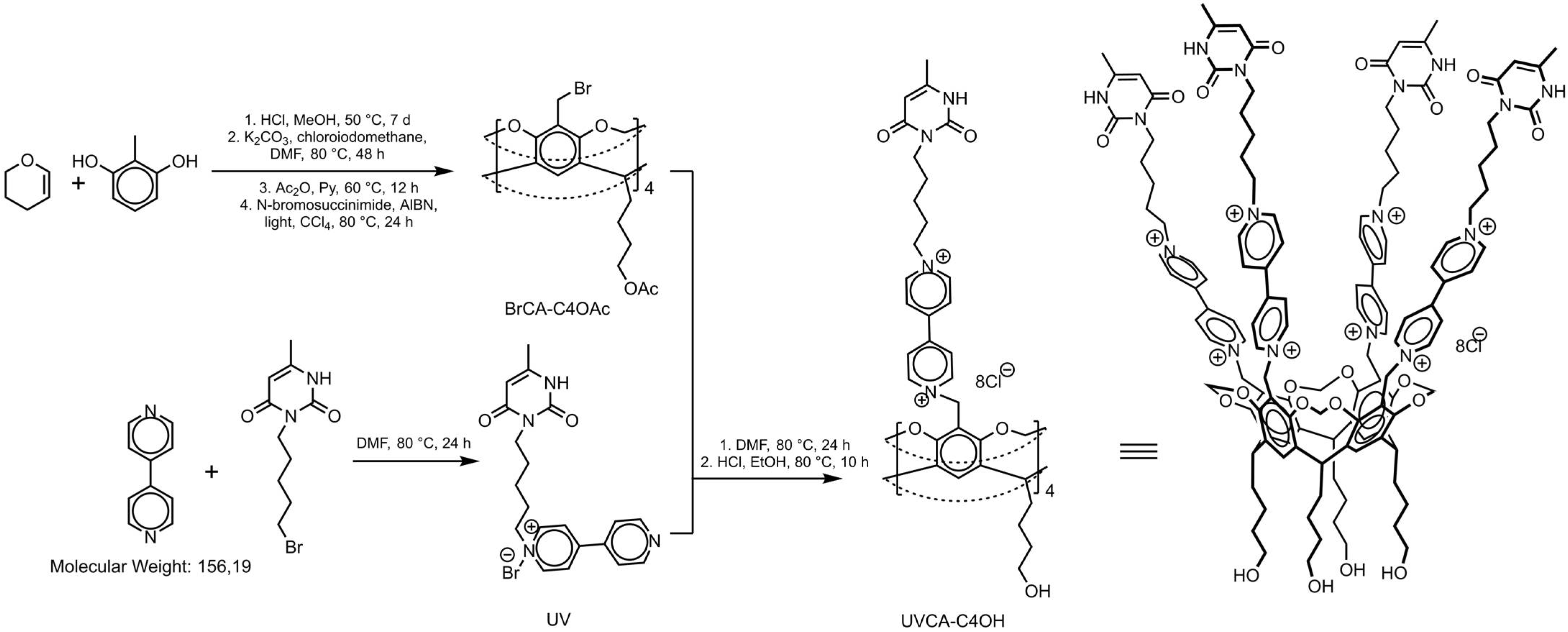 of mechanism acid n hydrolysis bromosuccinimic