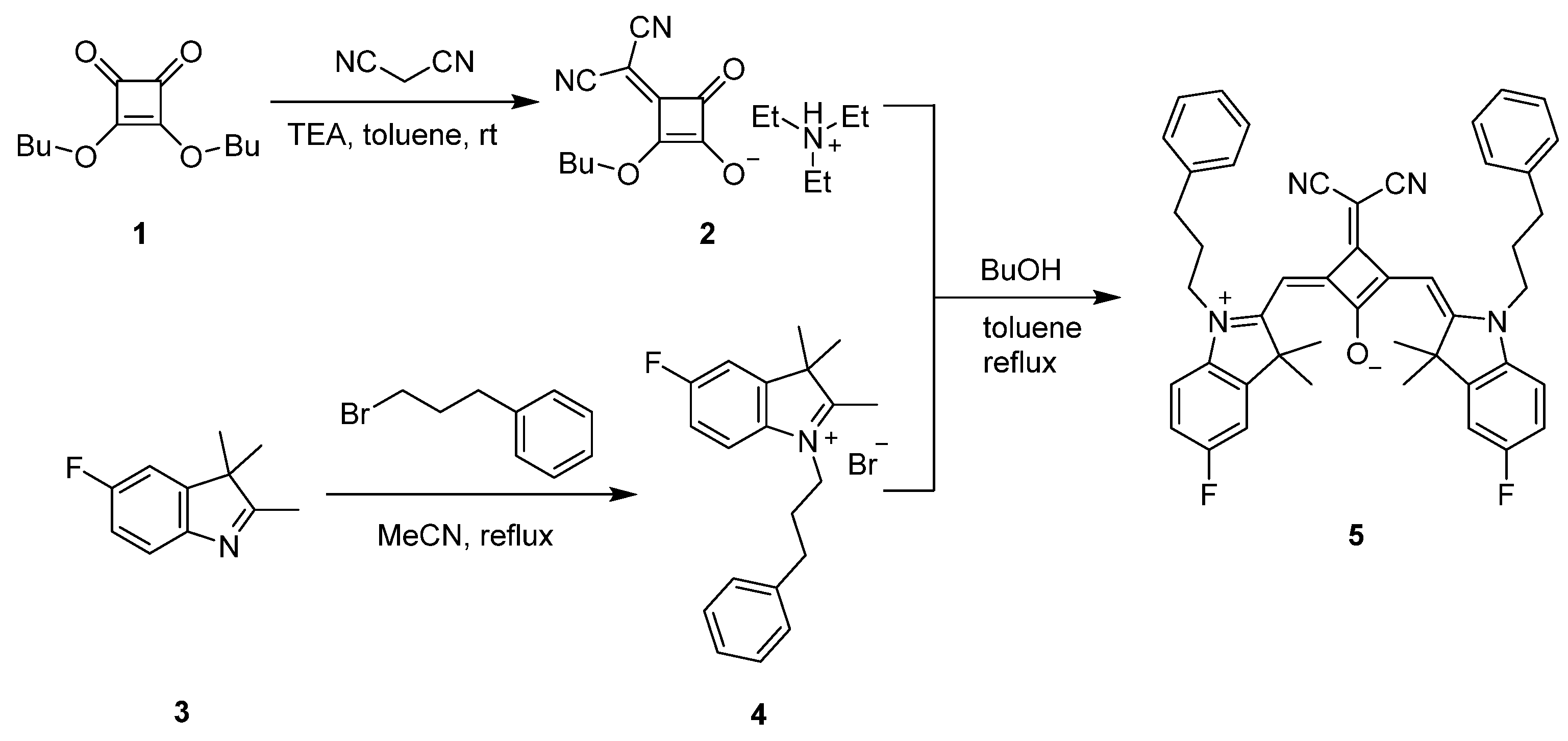 Molbank 2023 m1576 sch001