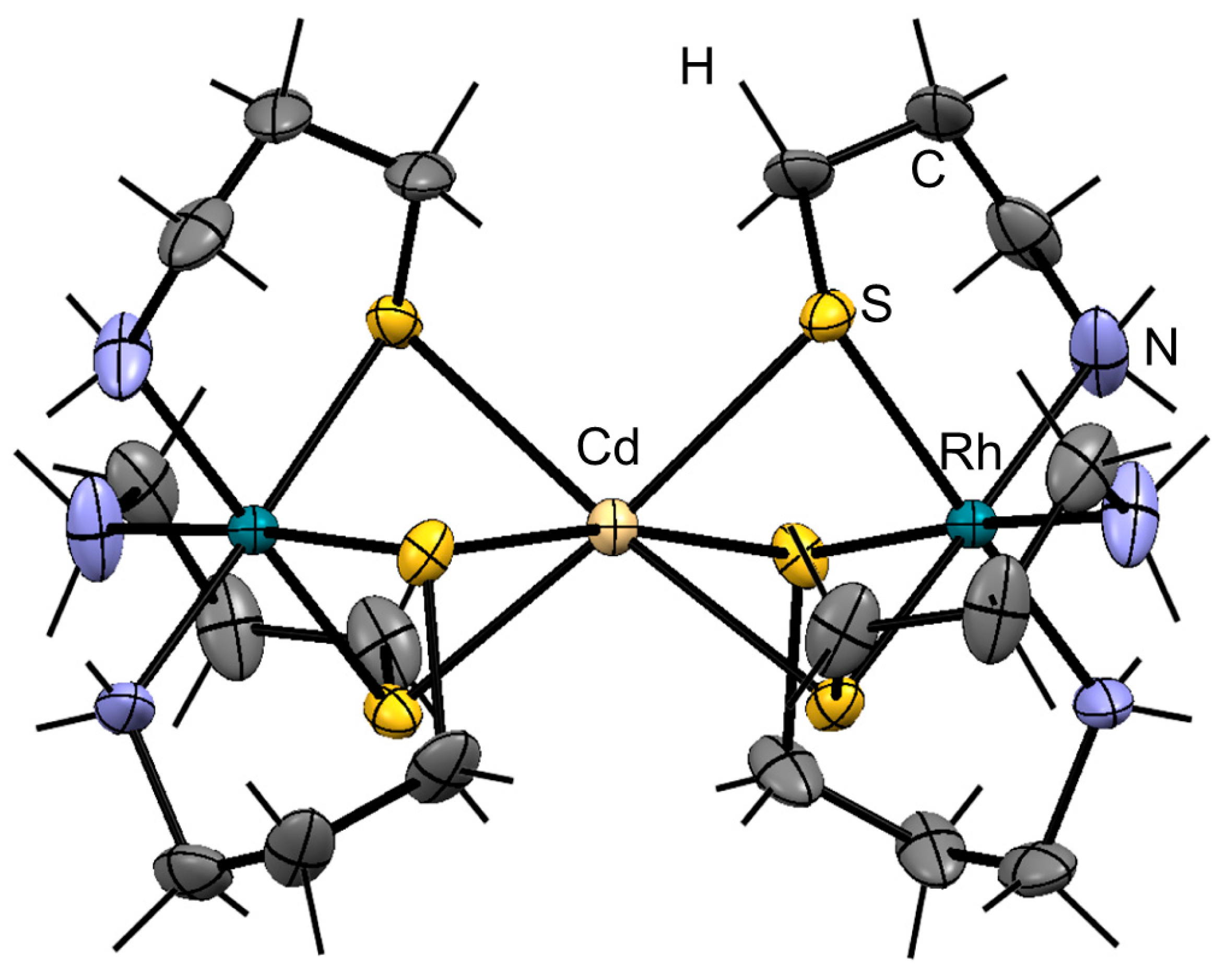 Molbank 2023 m1684 g002 Molbank 2023 m1684 g002