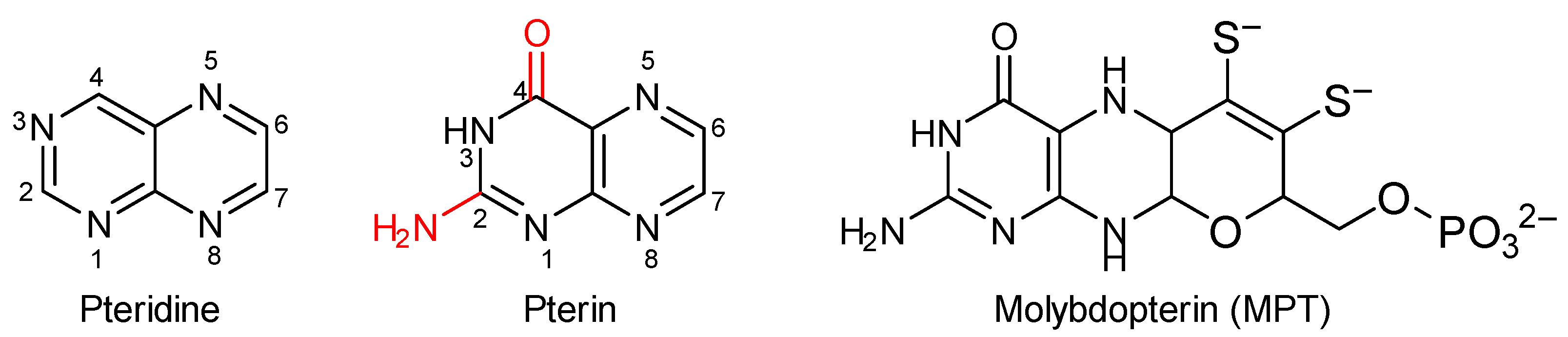 Molbank 2023 m1692 g001 Molbank 2023 m1692 g001