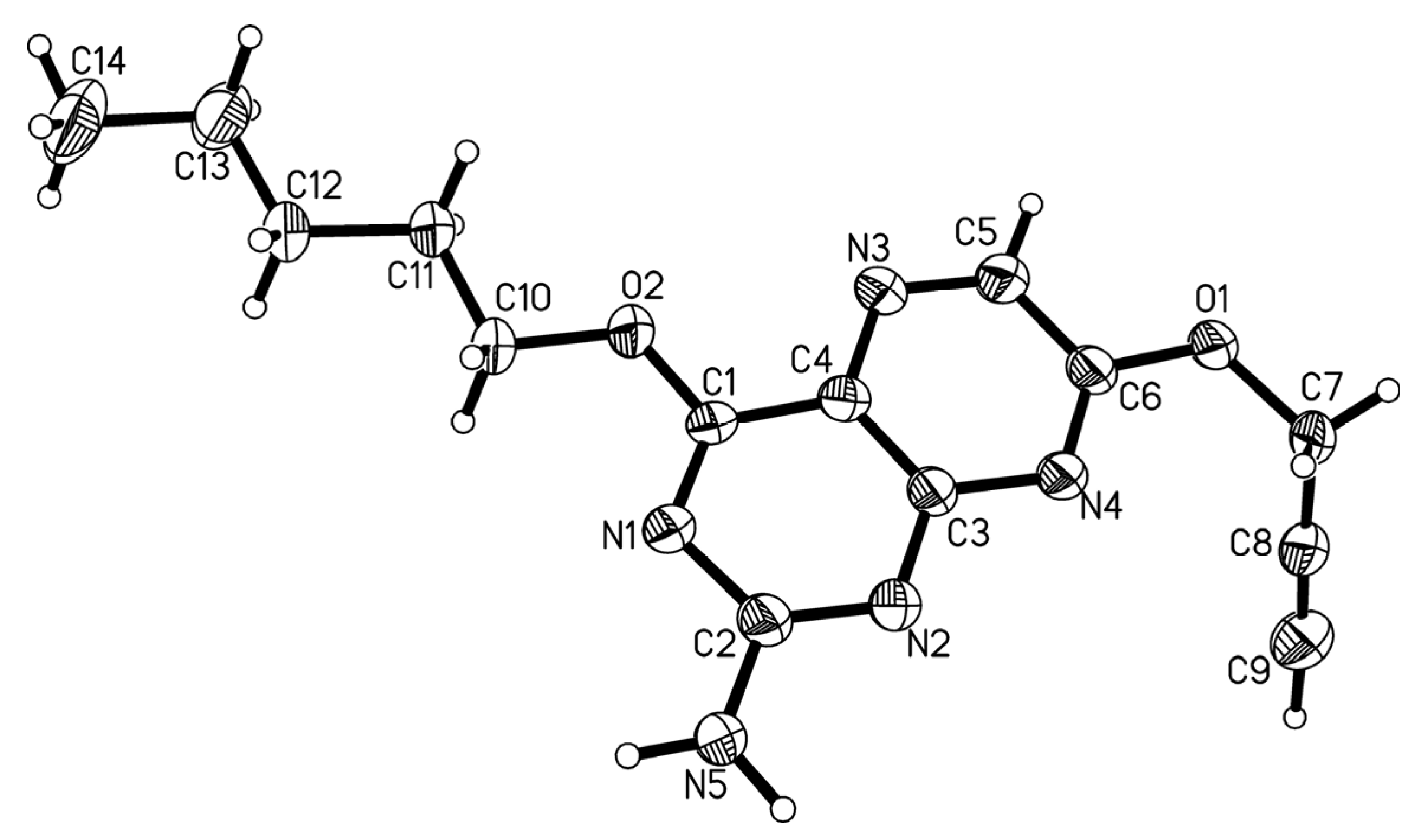 Molbank 2023 m1692 g002 Molbank 2023 m1692 g002