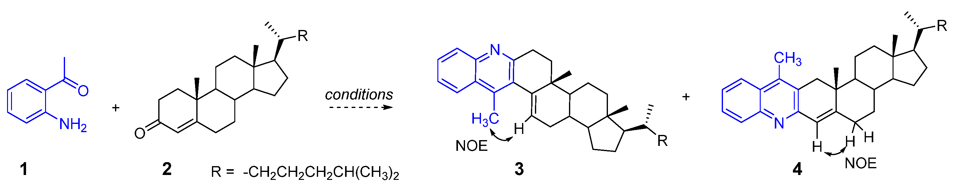 Molbank 2023 m1712 g003
