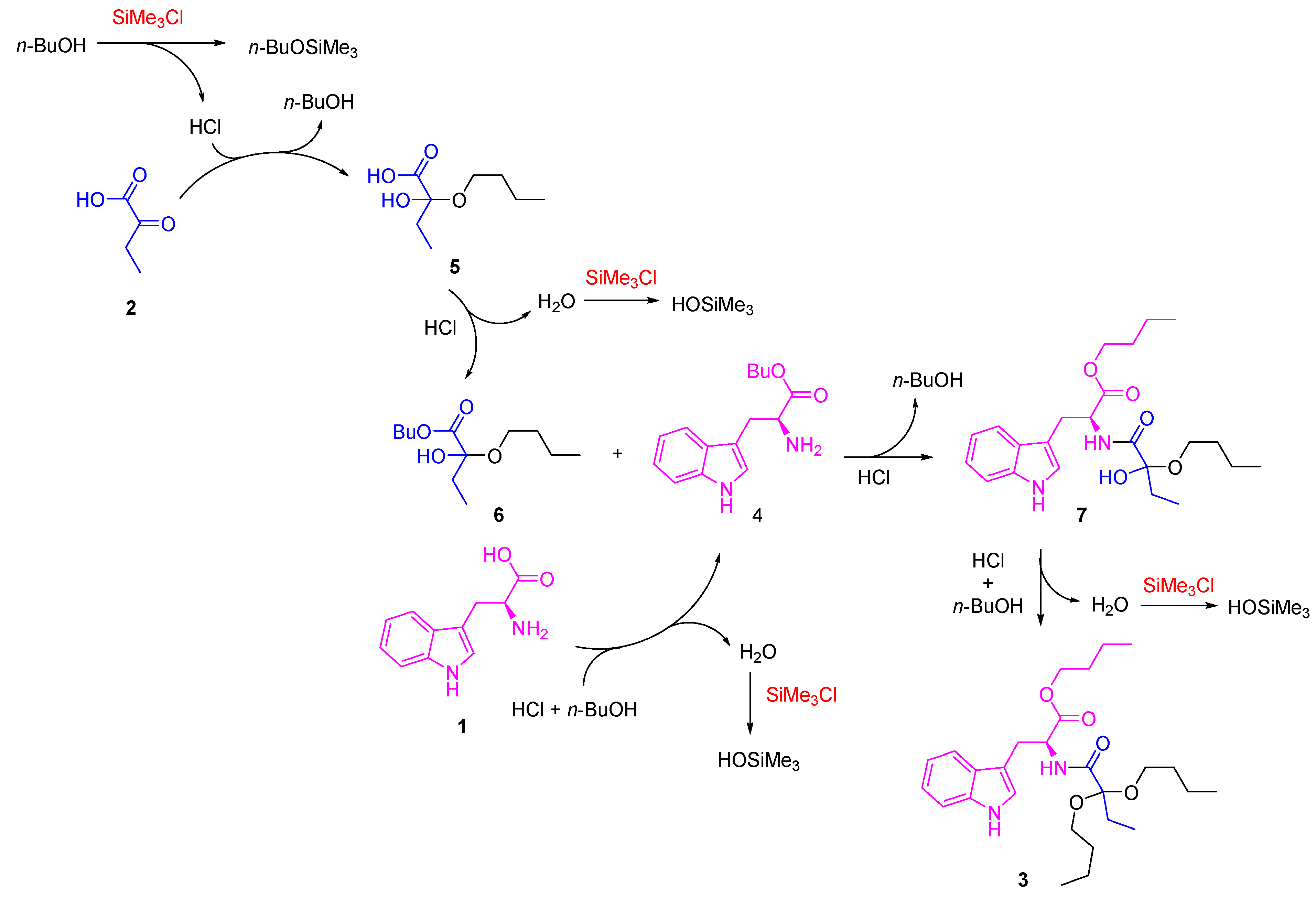 Molbank 2024 m1794 sch003