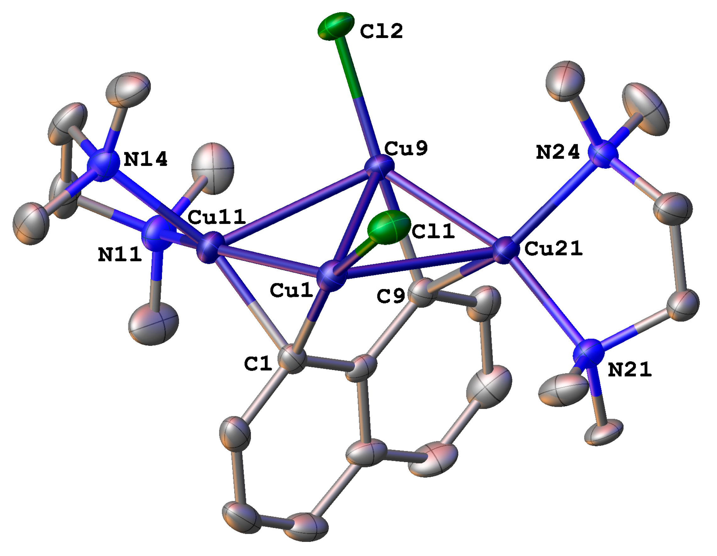 Molbank 2024 m1832 g001